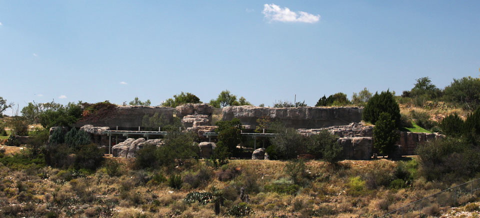 bobcat and puma exhibits