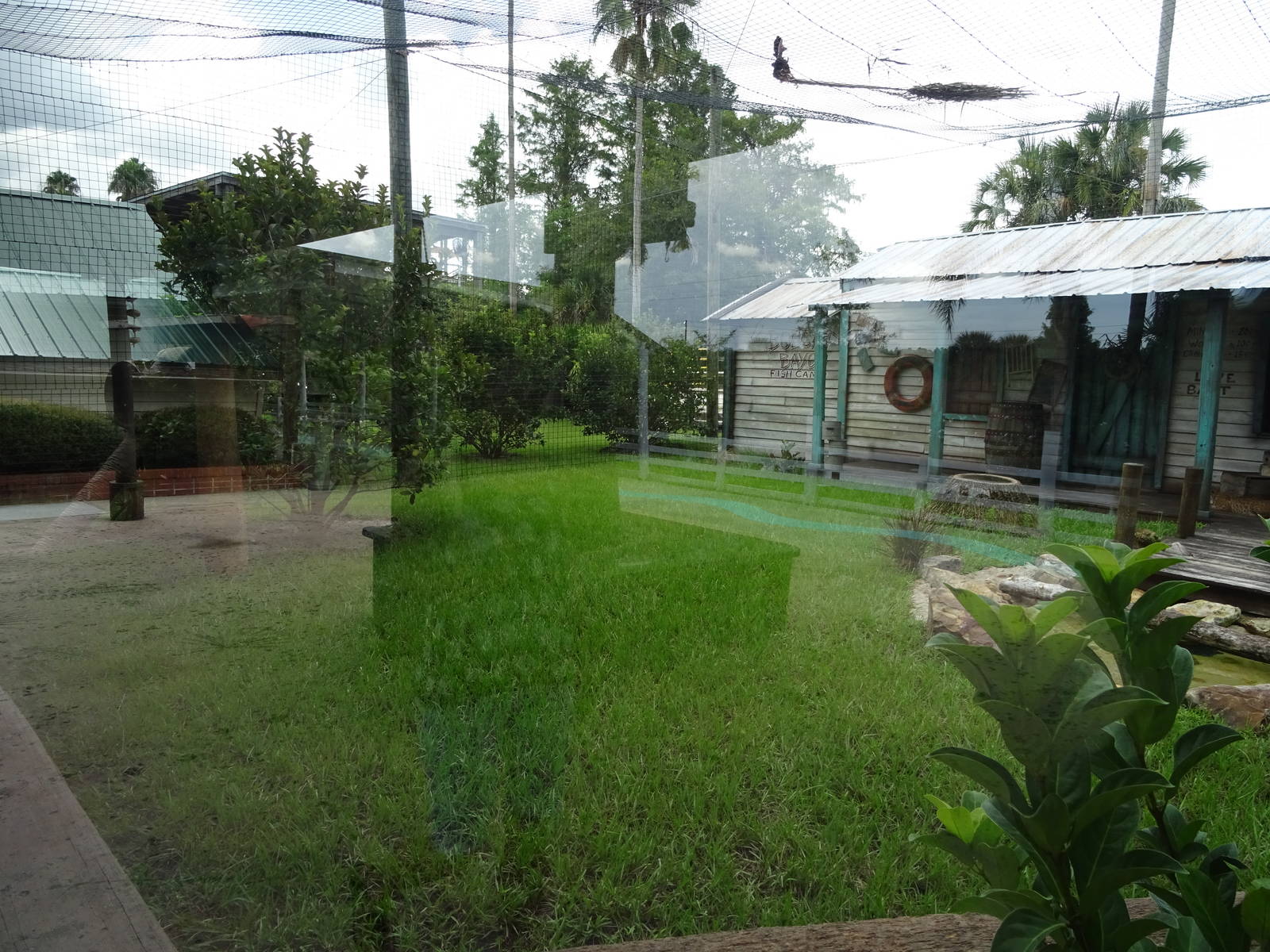 Bobcat Bayou at Gatorland