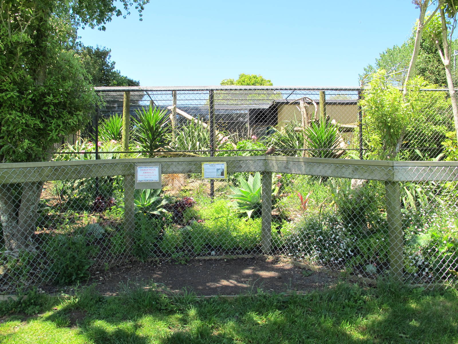 Bobcat Cage - Franklin Zoo
