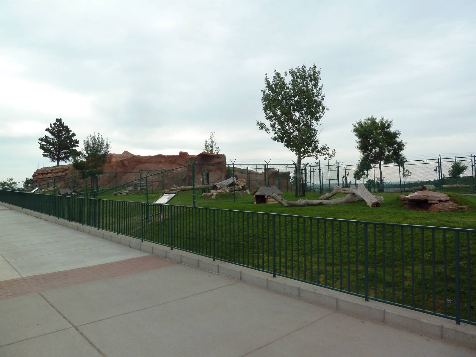 Bobcat + Canadian Lynx Exhibits