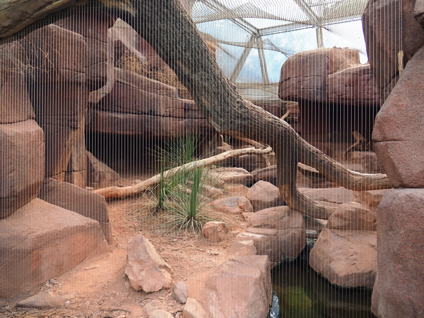 Bobcat canyon (Sep 16th, 2018)