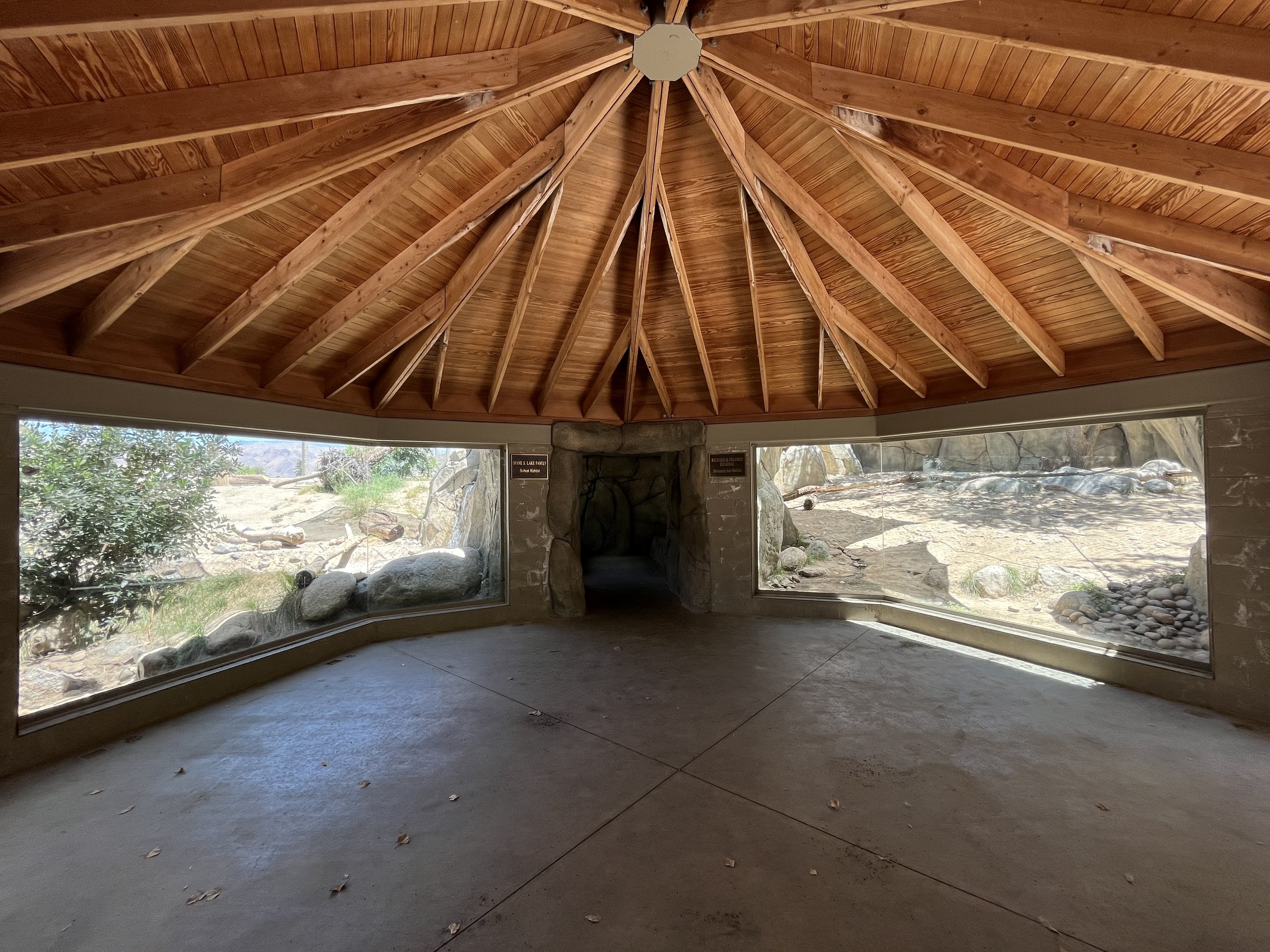 Bobcat + Cougar Exhibits