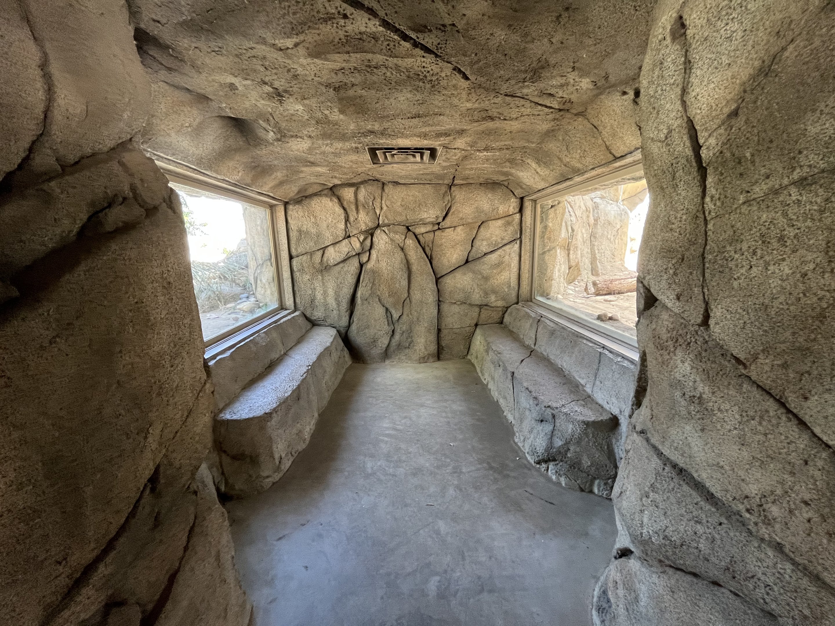 Bobcat + Cougar Exhibits