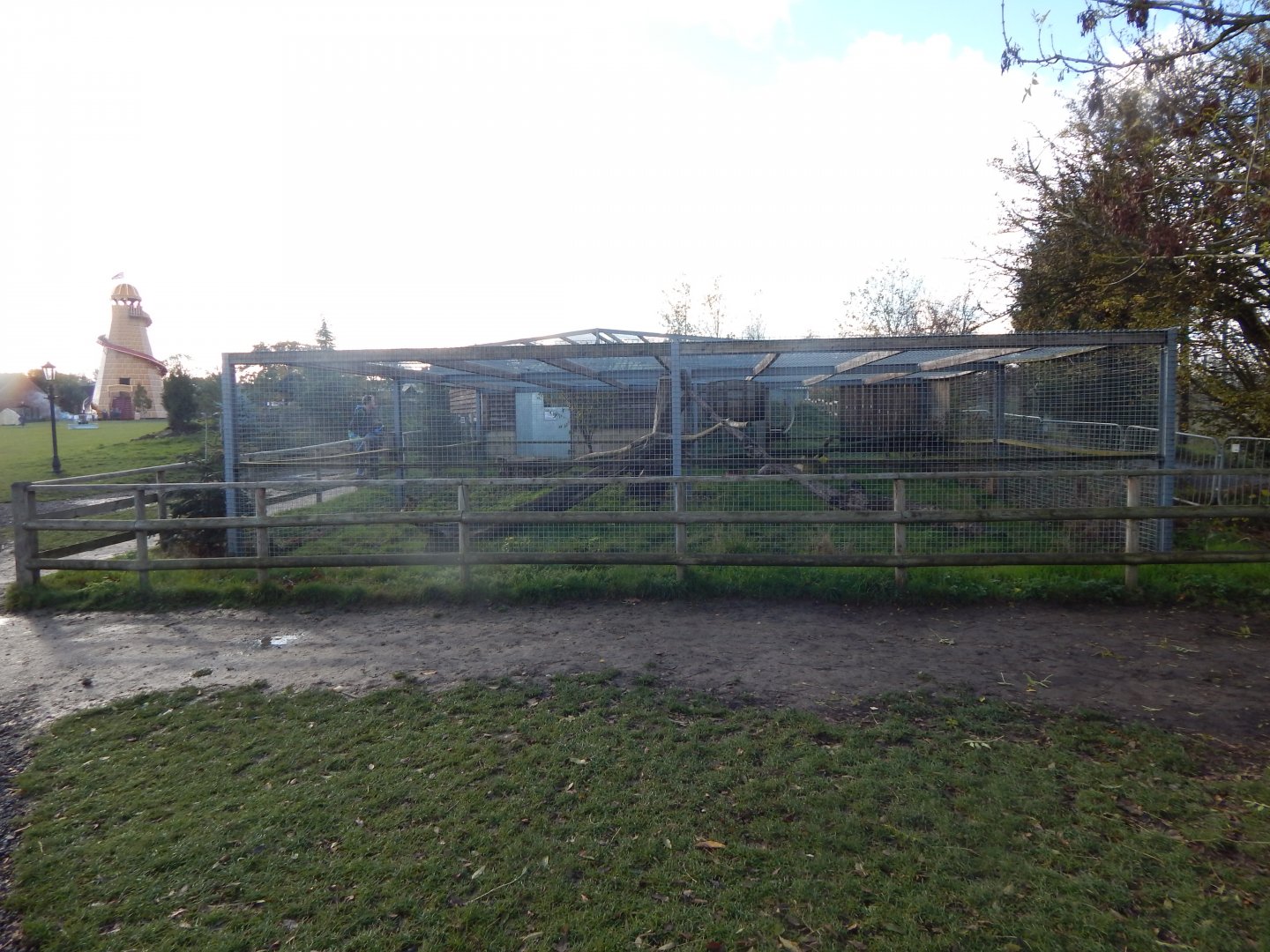 Bobcat enclosure 021125