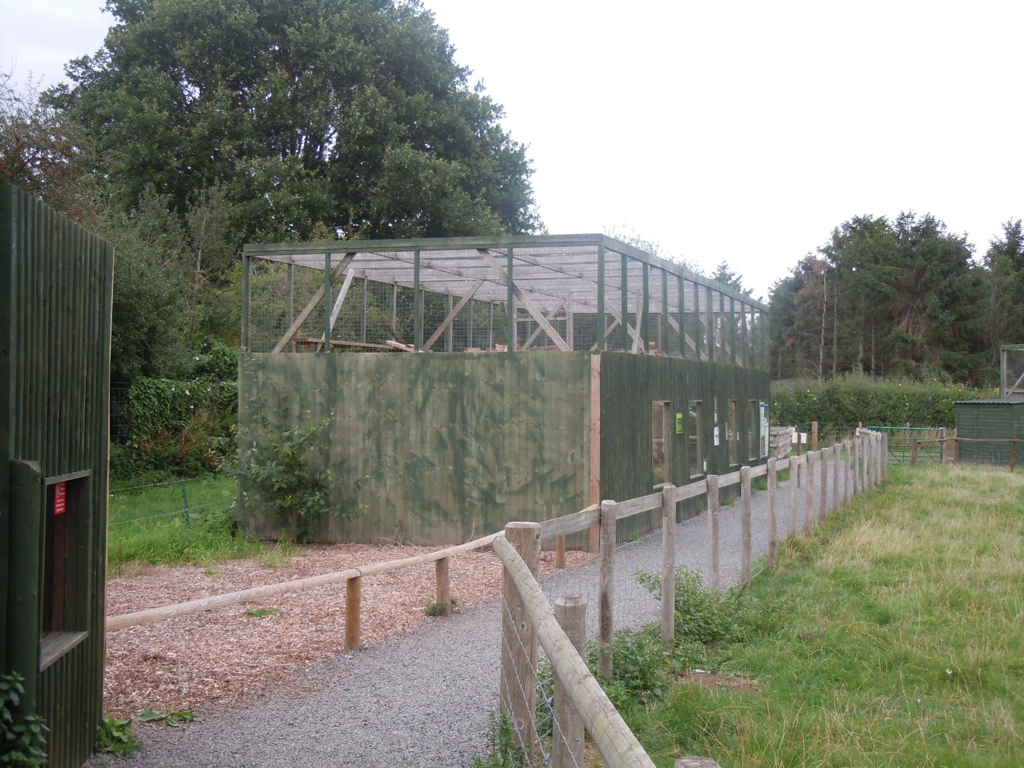 Bobcat enclosure 100920