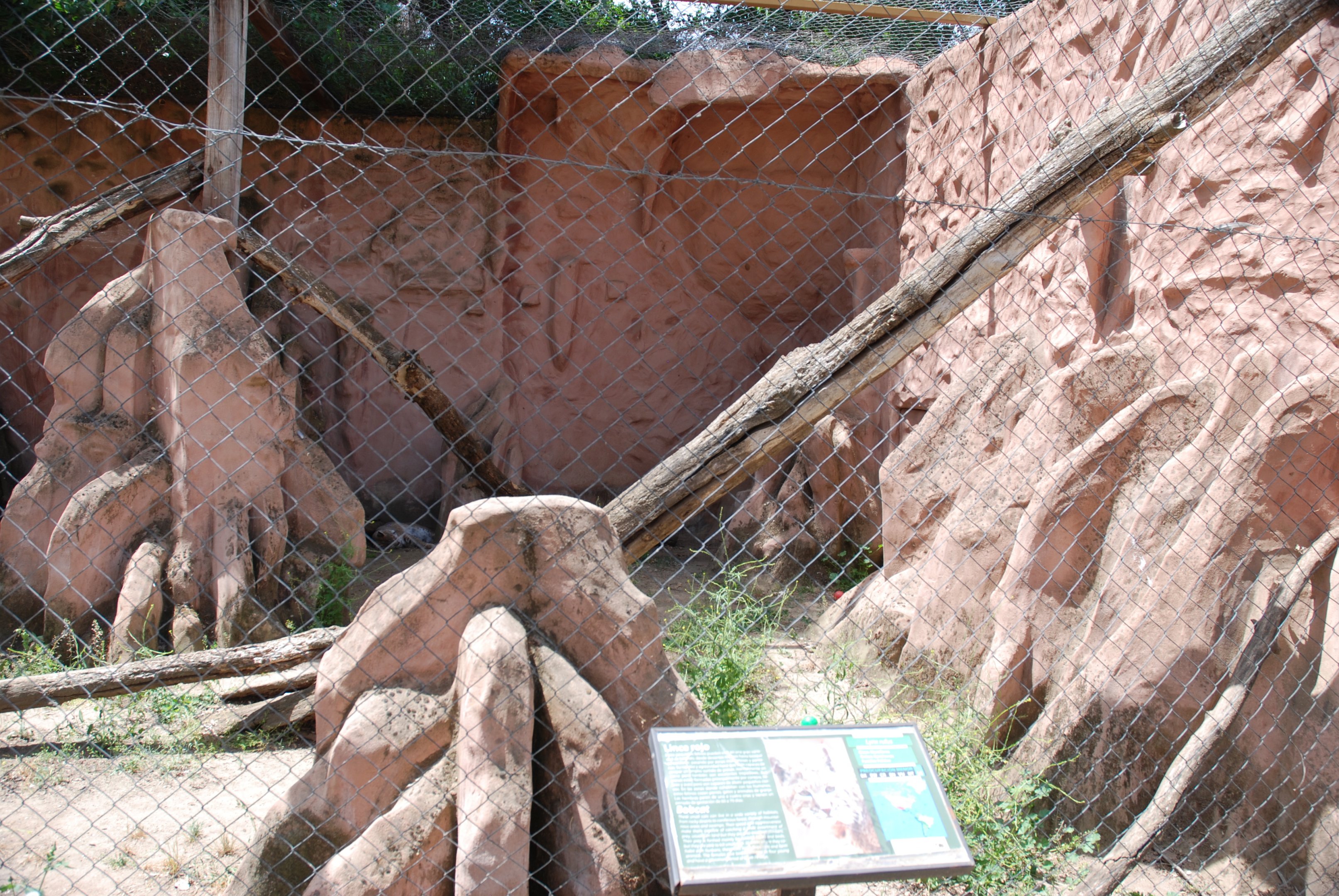 Bobcat Enclosure at Safari Madrid, 19th May 2022
