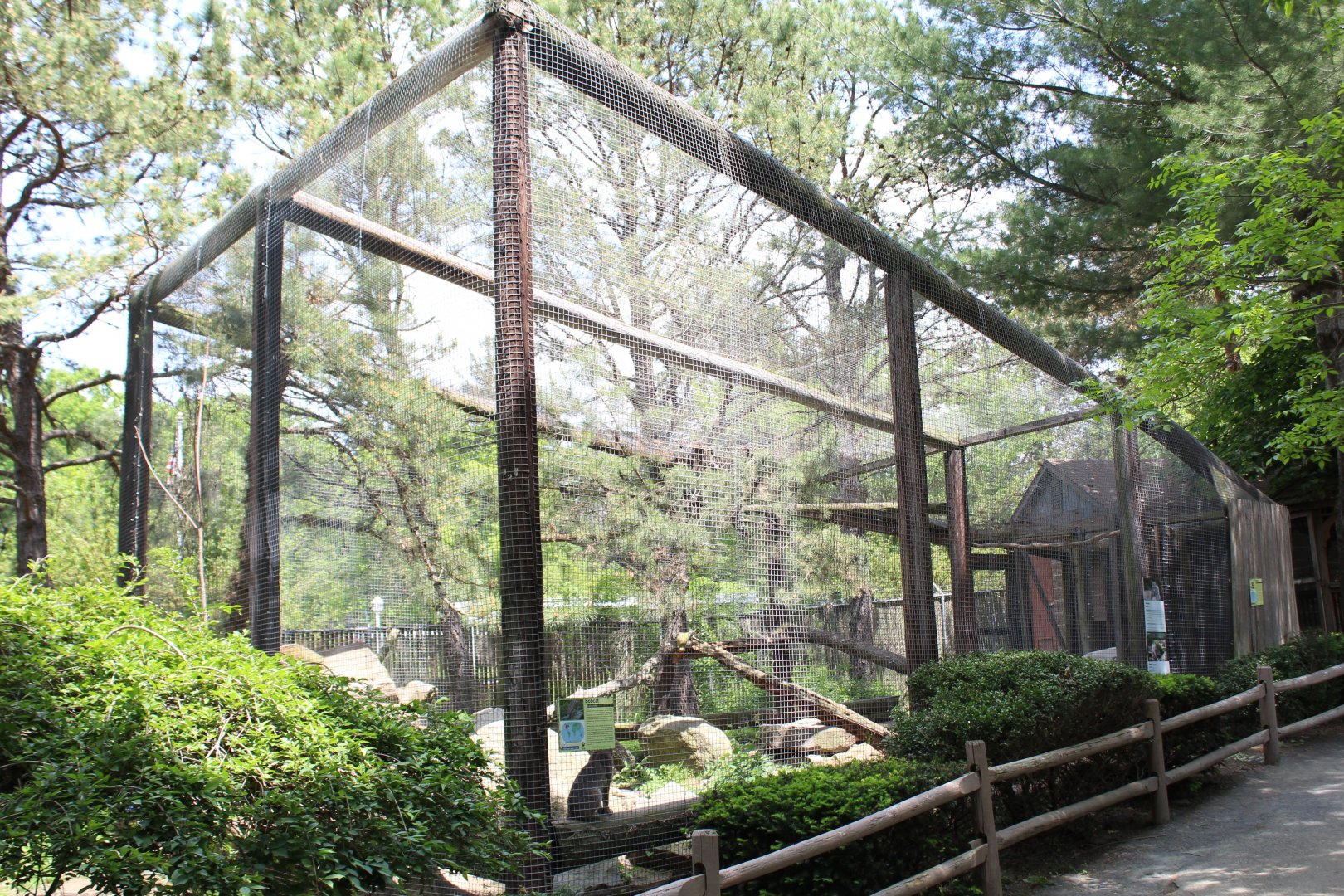Bobcat Enclosure