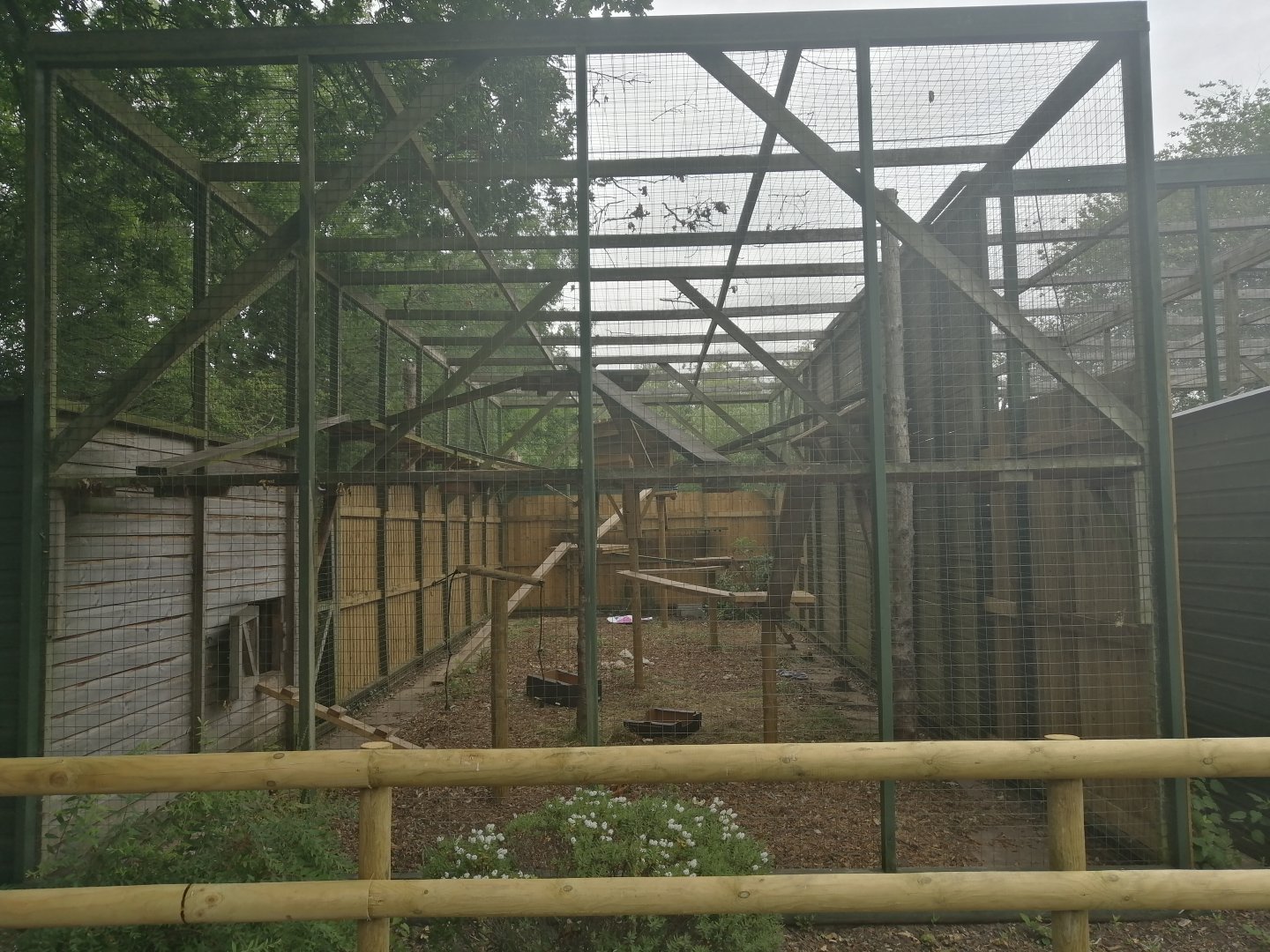 Bobcat Enclosure