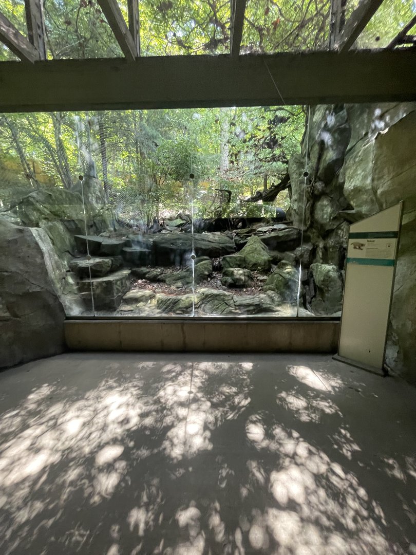 Bobcat Enclosure
