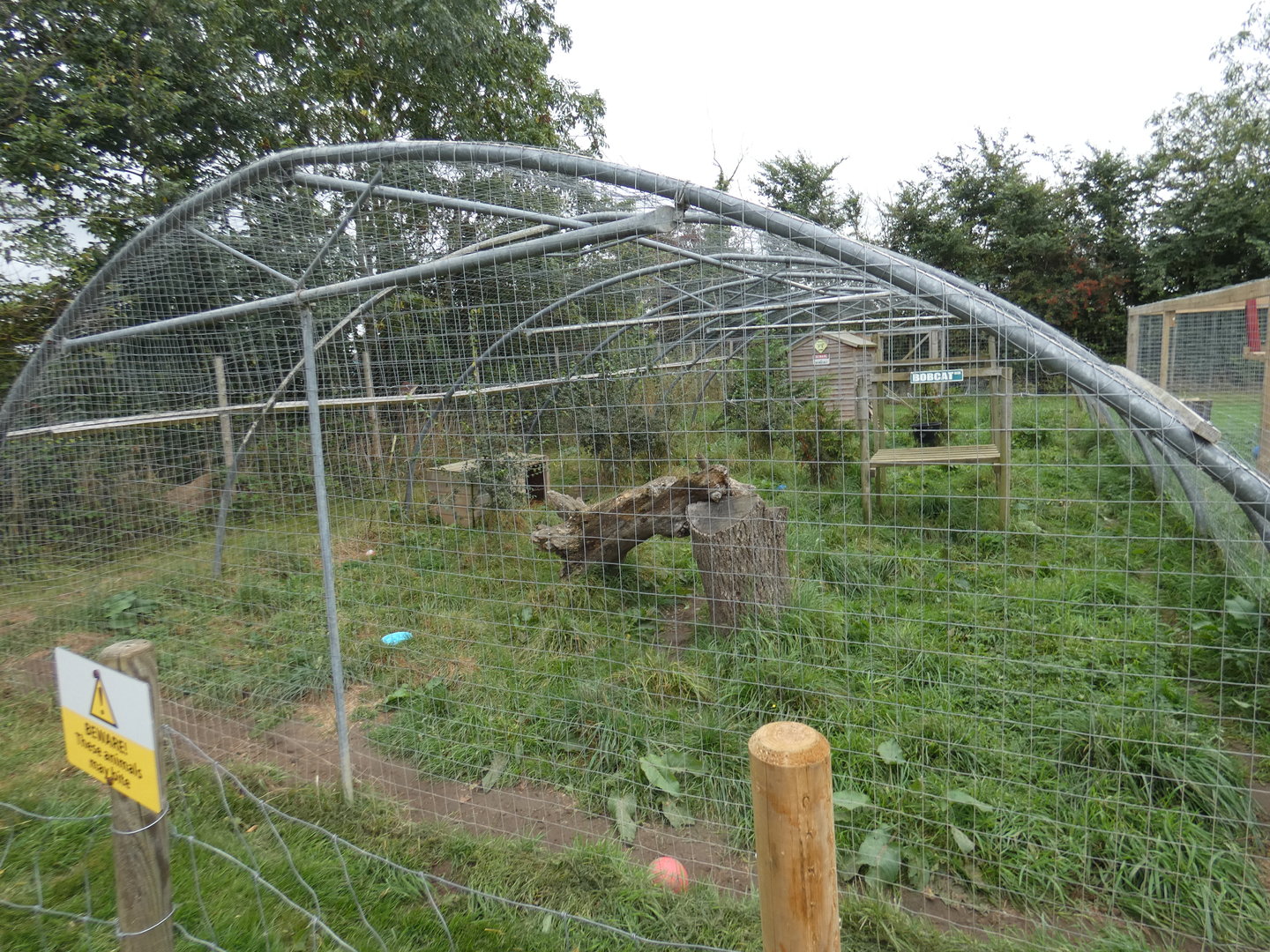 Bobcat enclosure