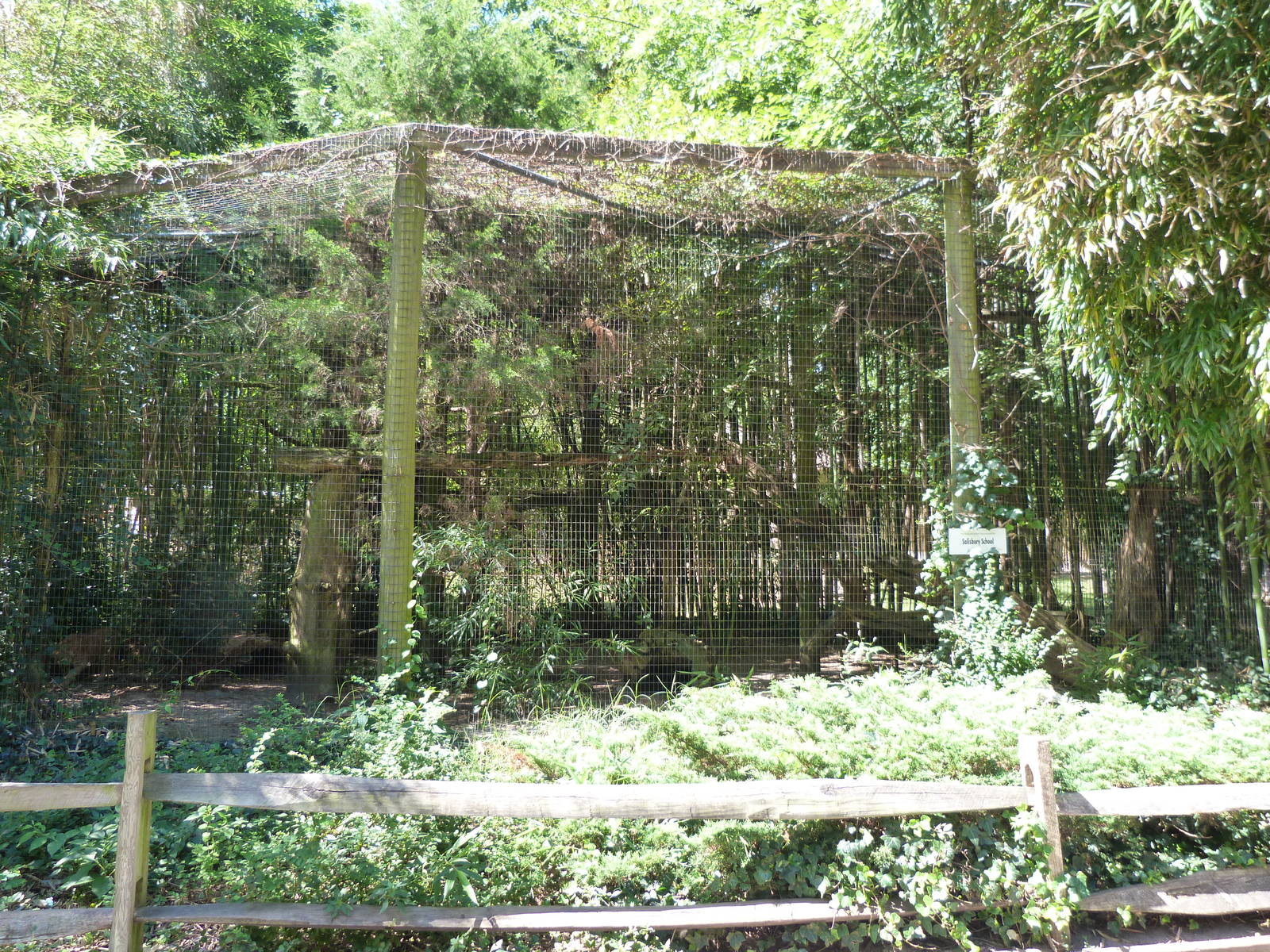 Bobcat Exhibit 9/7/13
