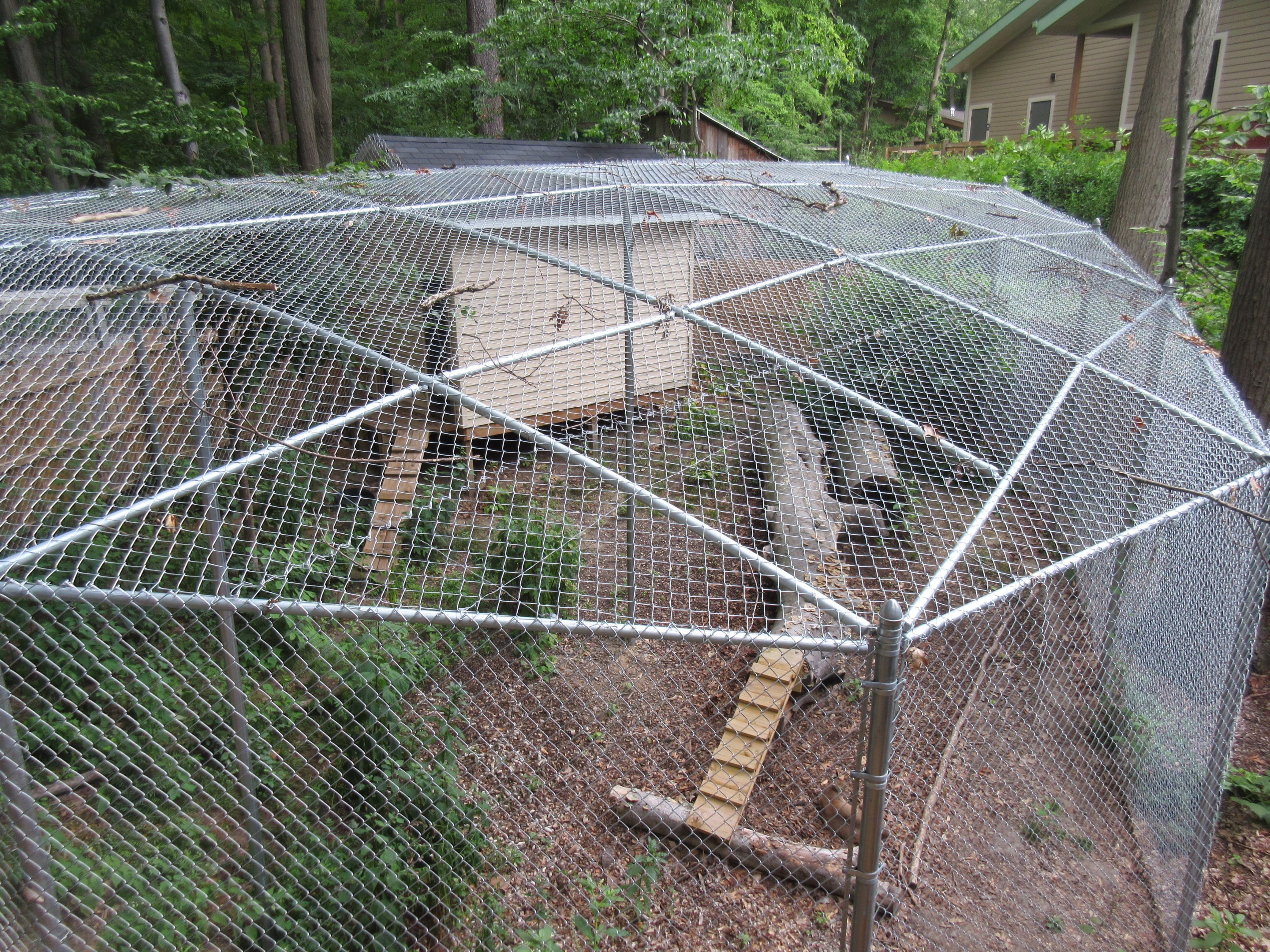 Bobcat Exhibit (Aerial View)