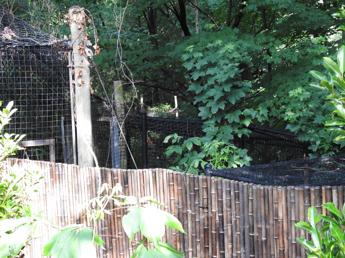 Bobcat Exhibit Annex