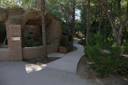 bobcat exhibit - Arizona trail