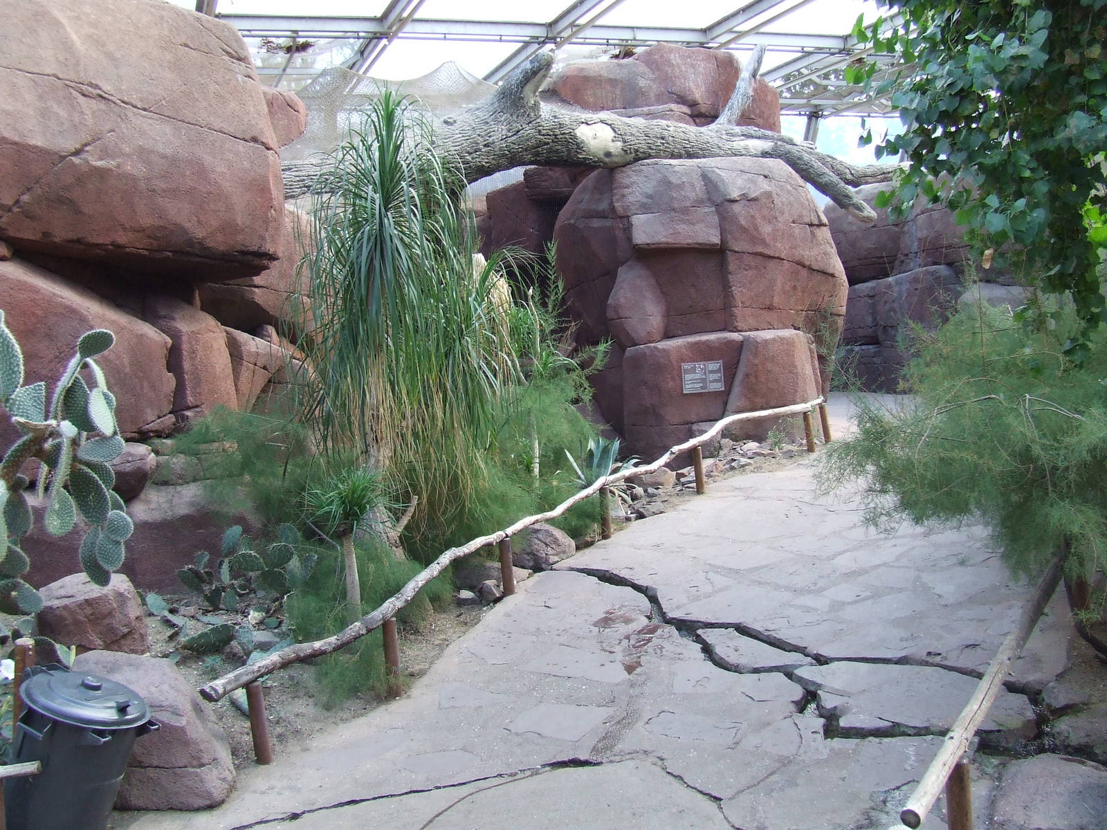Bobcat exhibit, Burgers Desert