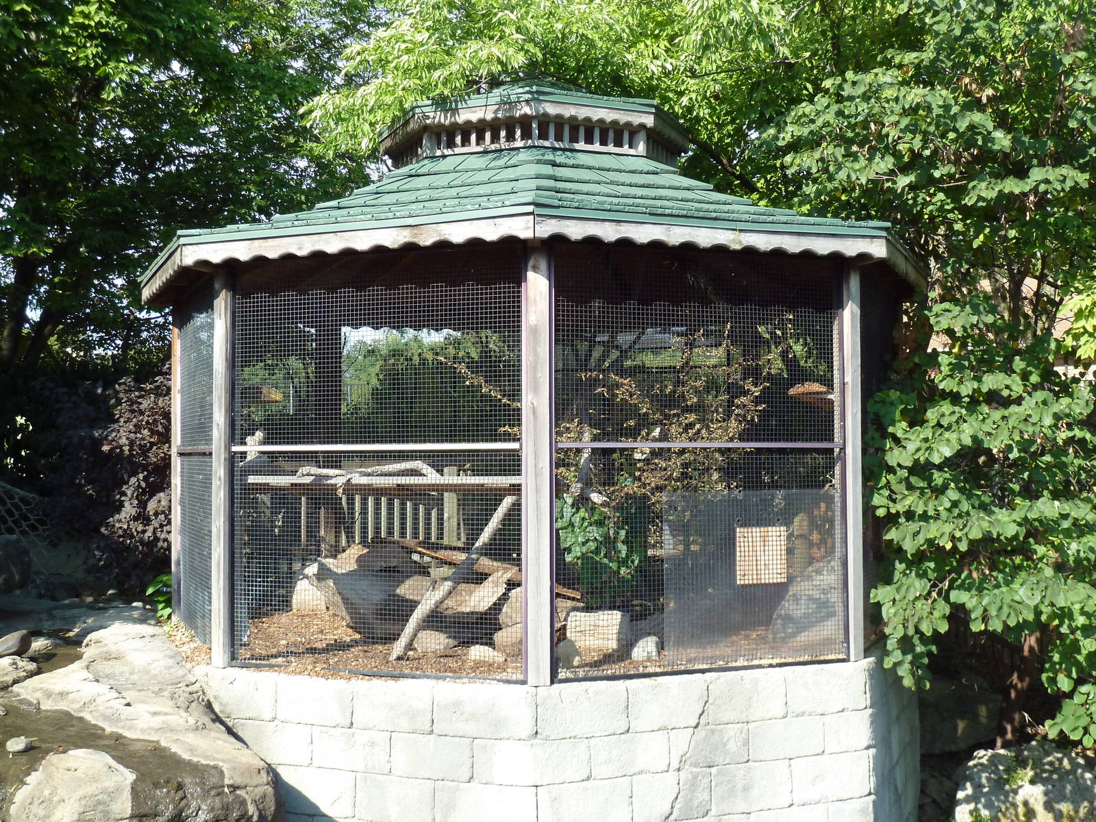 Bobcat Exhibit - Far Too Small!