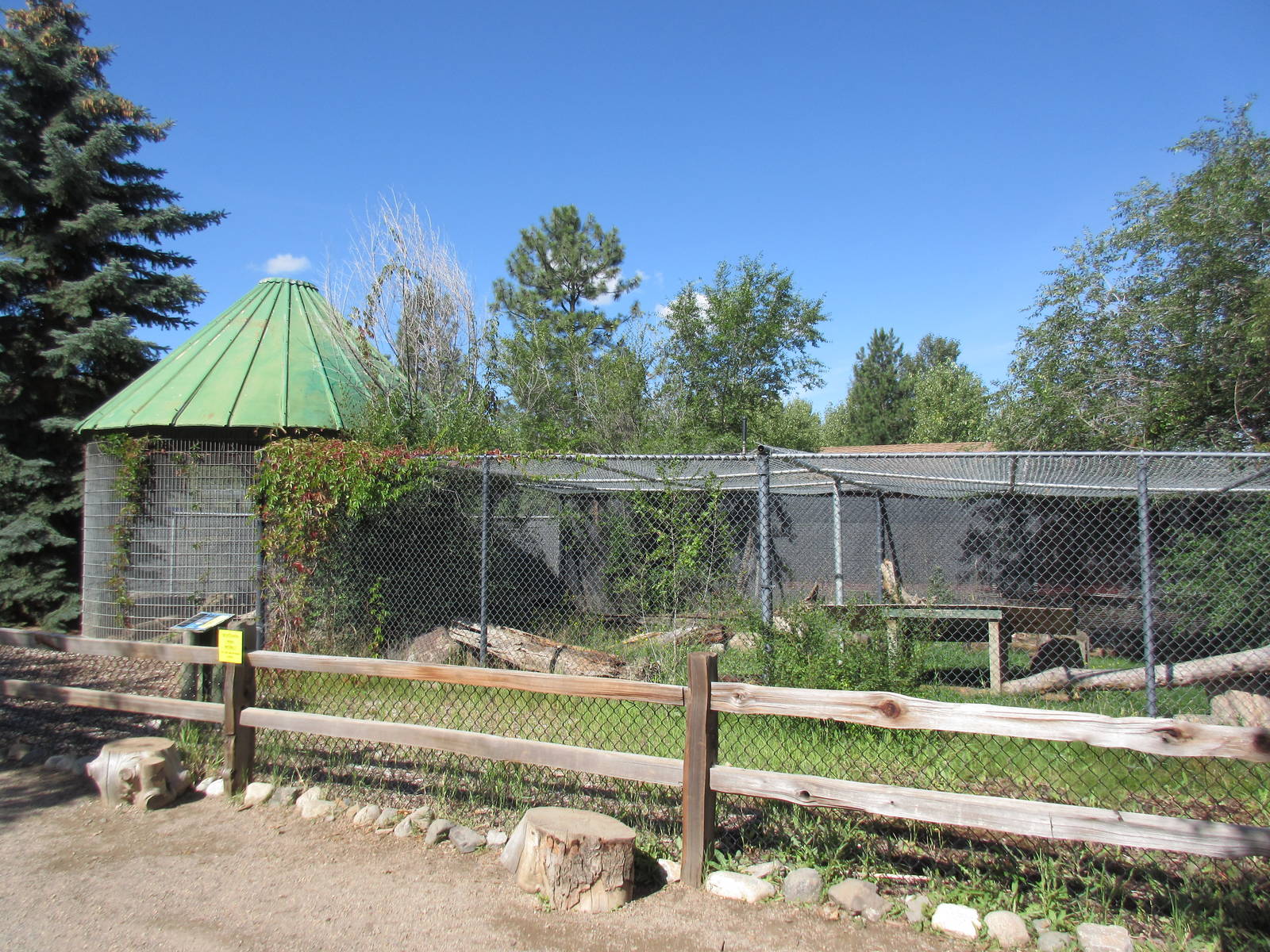Bobcat Exhibit (home to a 3-legged cat)