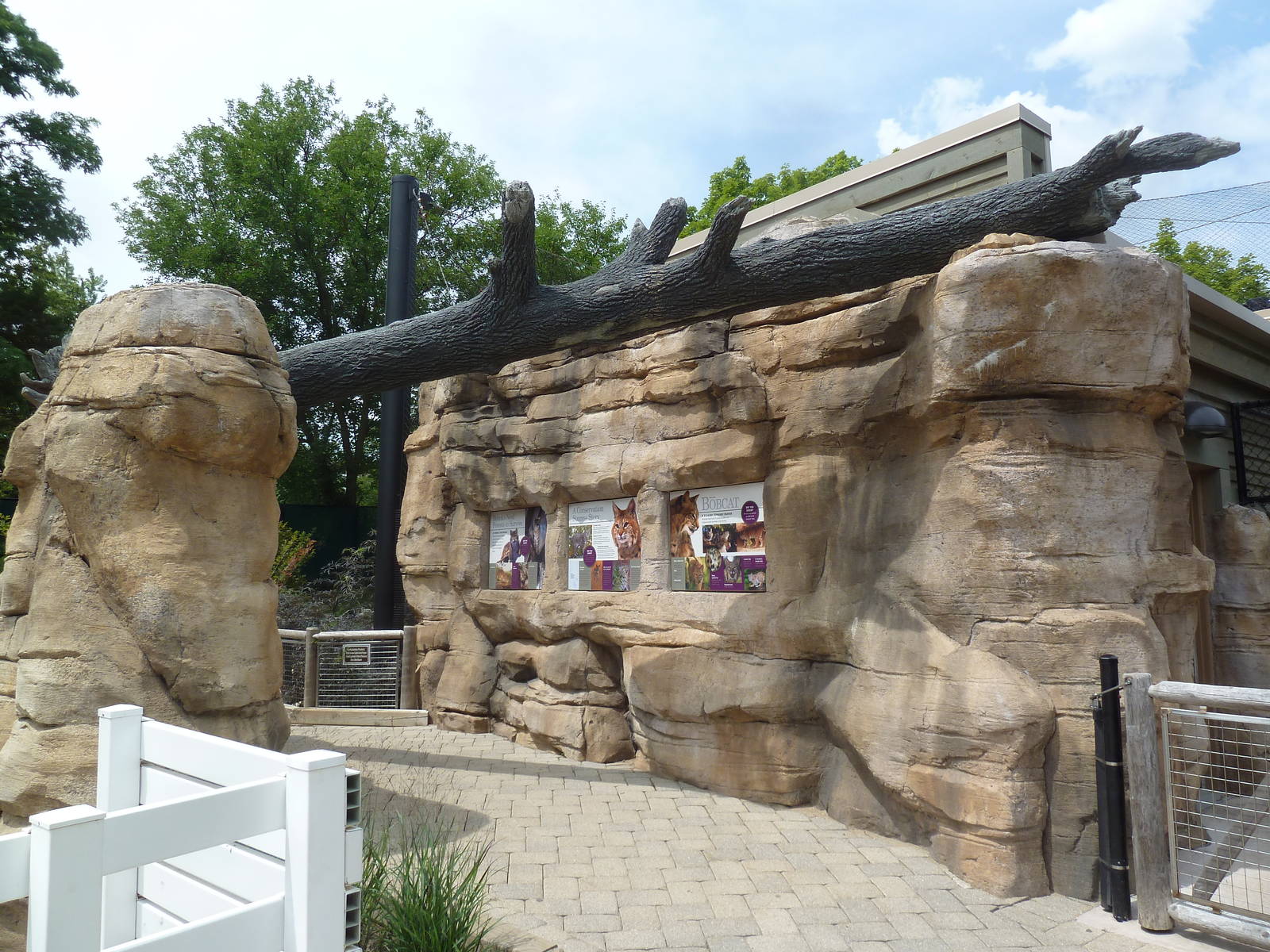 Bobcat Exhibit - New in 2012