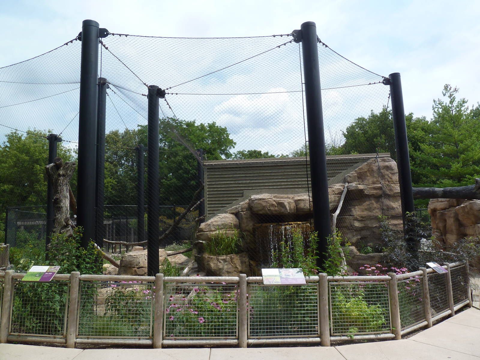Bobcat Exhibit - New in 2012