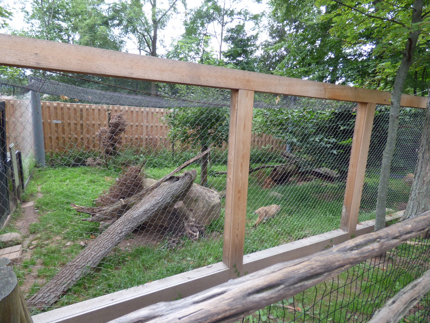 Bobcat Exhibit - Sept. 2018