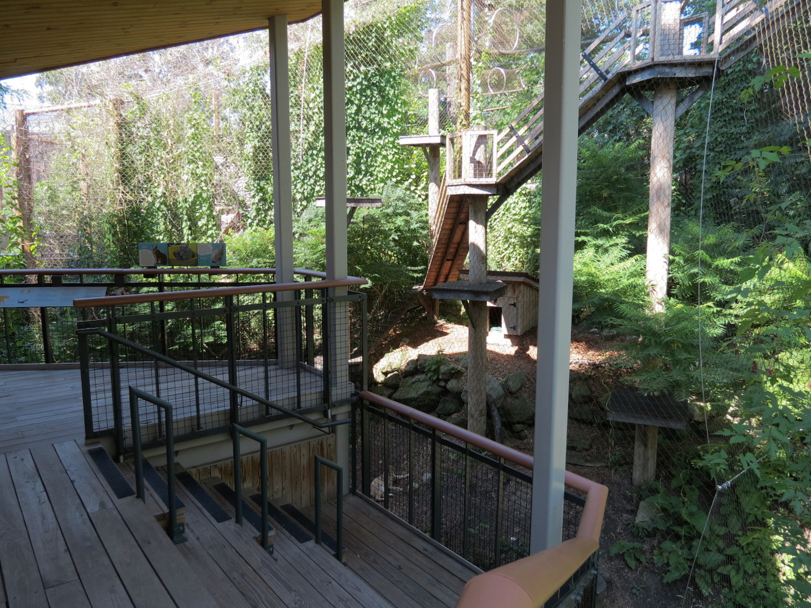 Bobcat Exhibit - Viewing Shelter