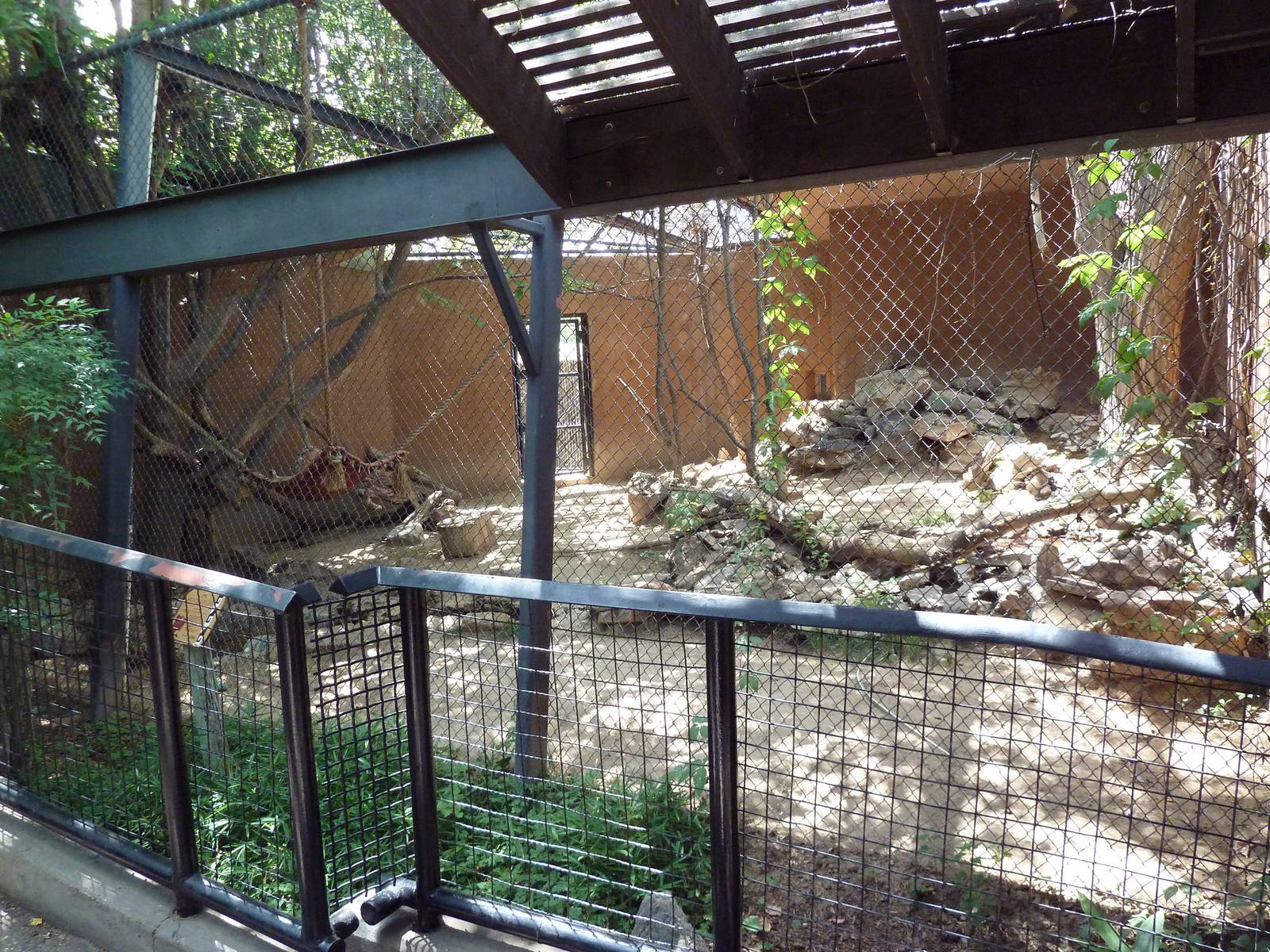 Bobcat Exhibit