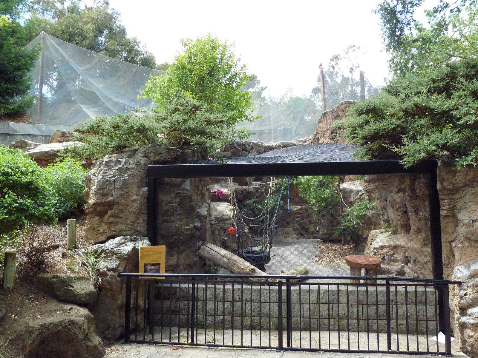 Bobcat Exhibit
