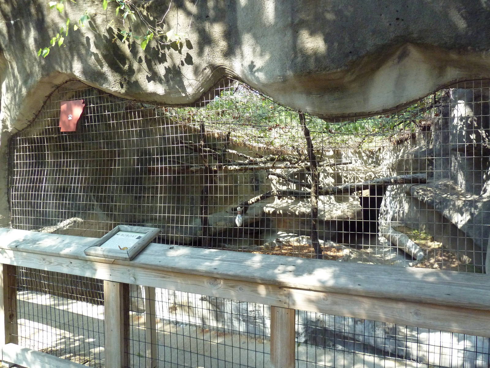 Bobcat Exhibit
