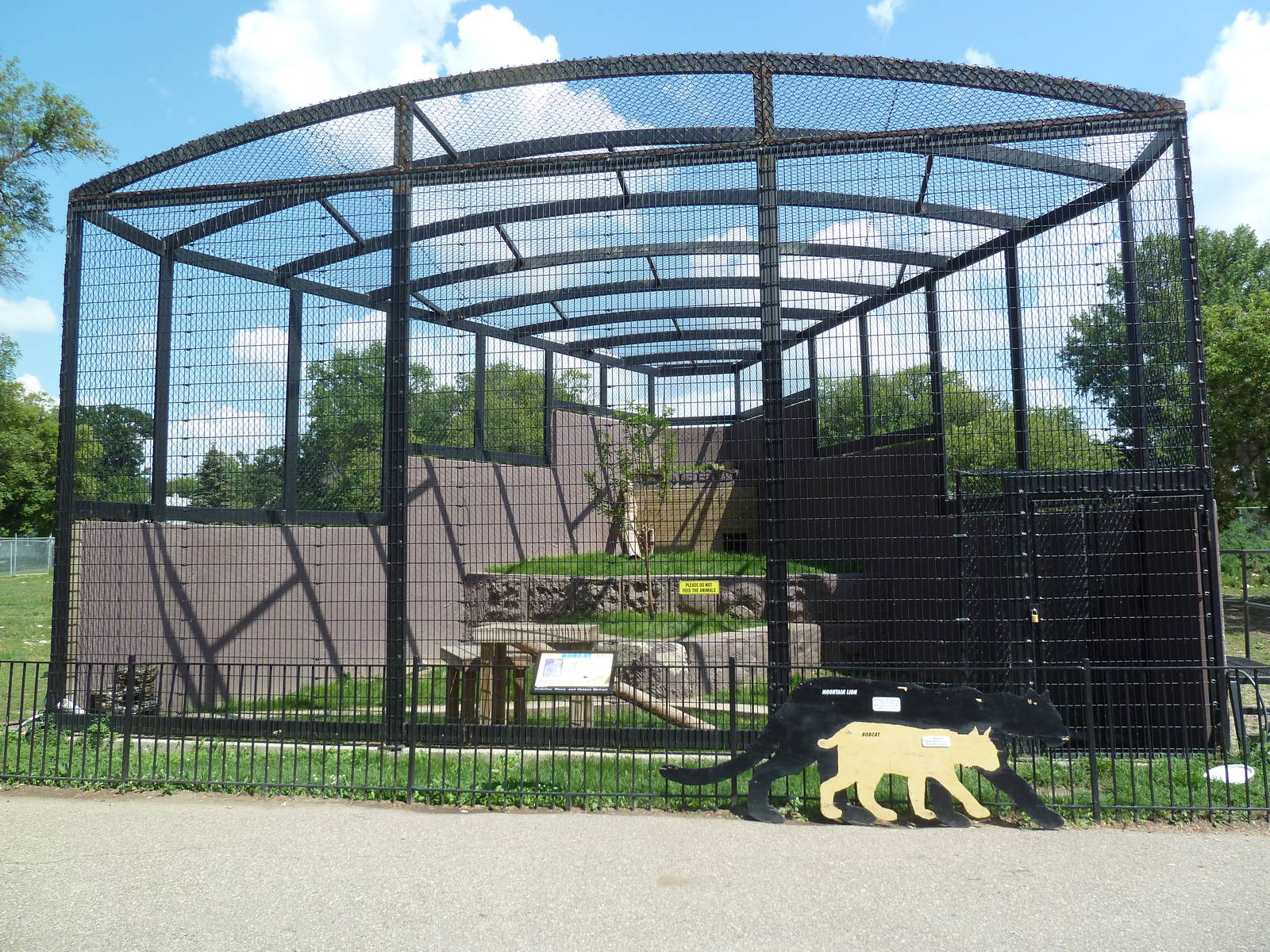 Bobcat Exhibit