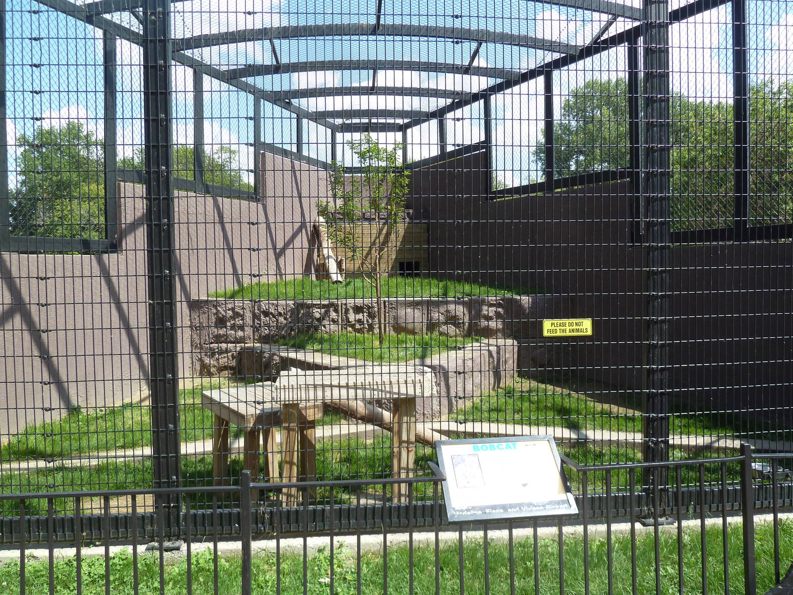 Bobcat Exhibit