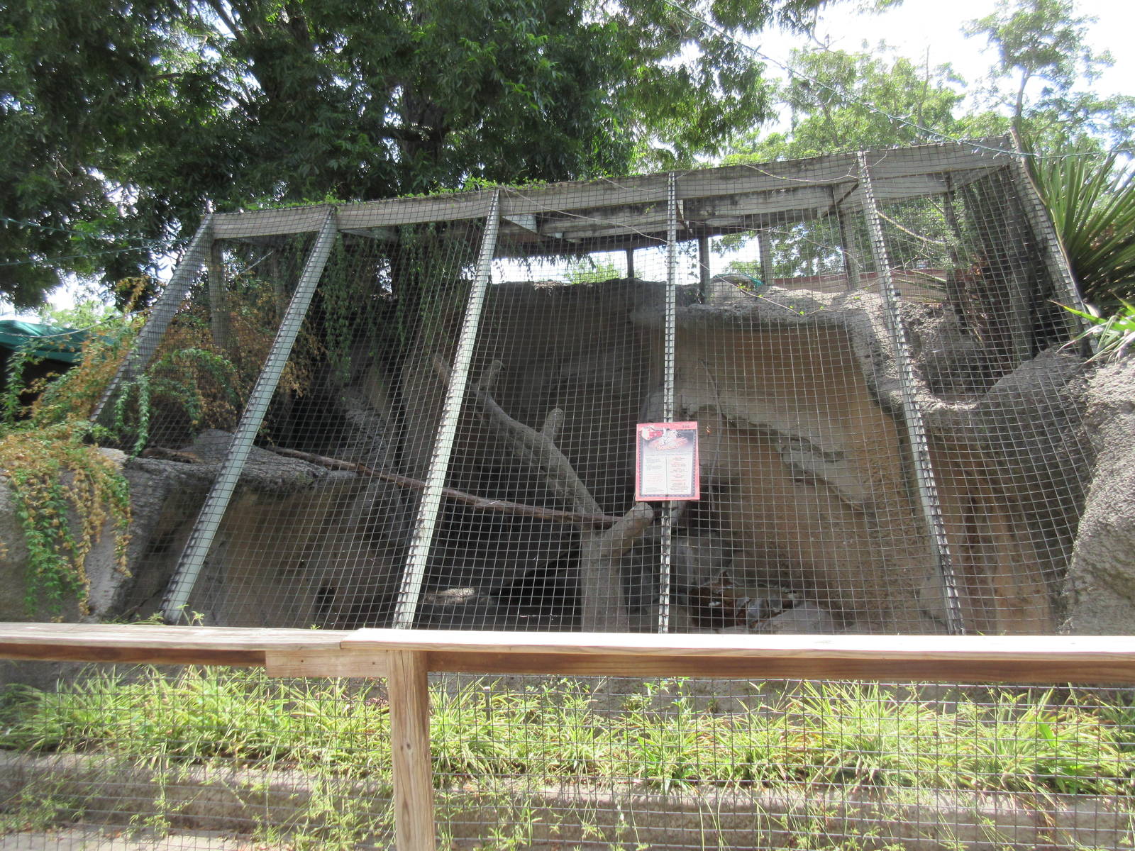 Bobcat Exhibit