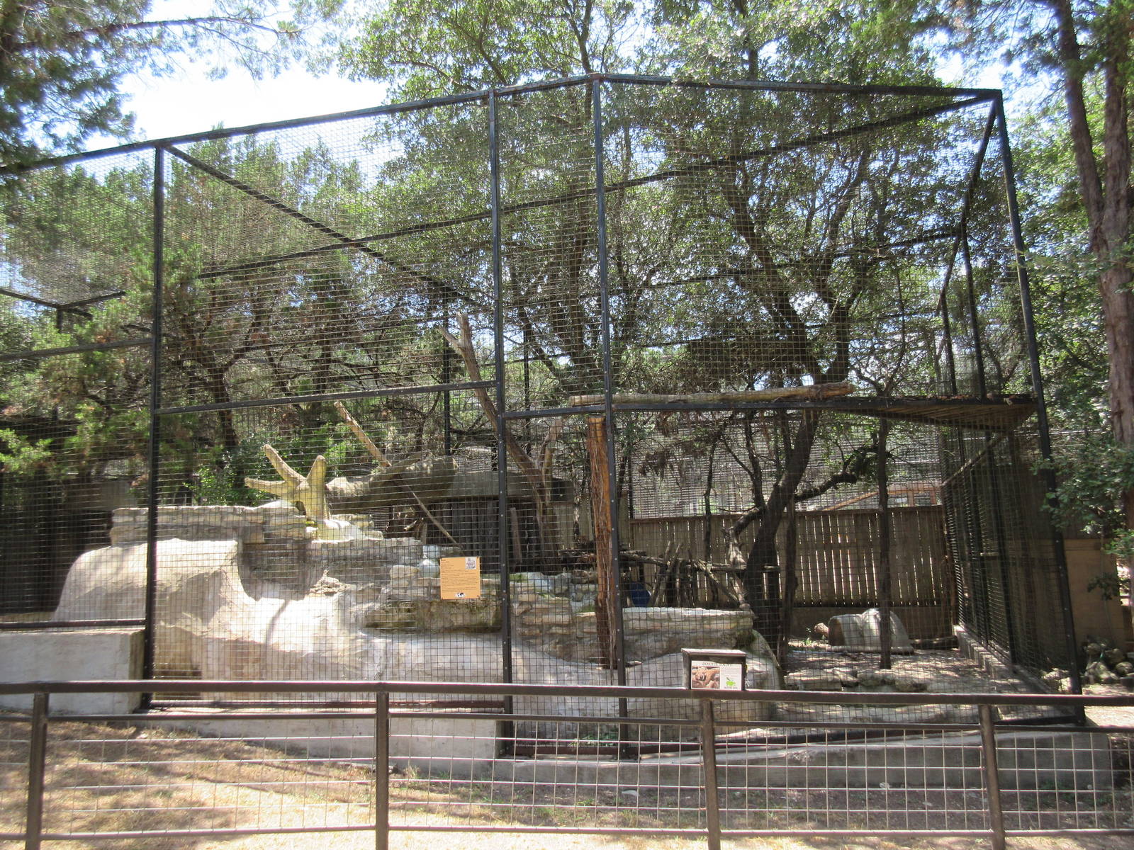 Bobcat Exhibit