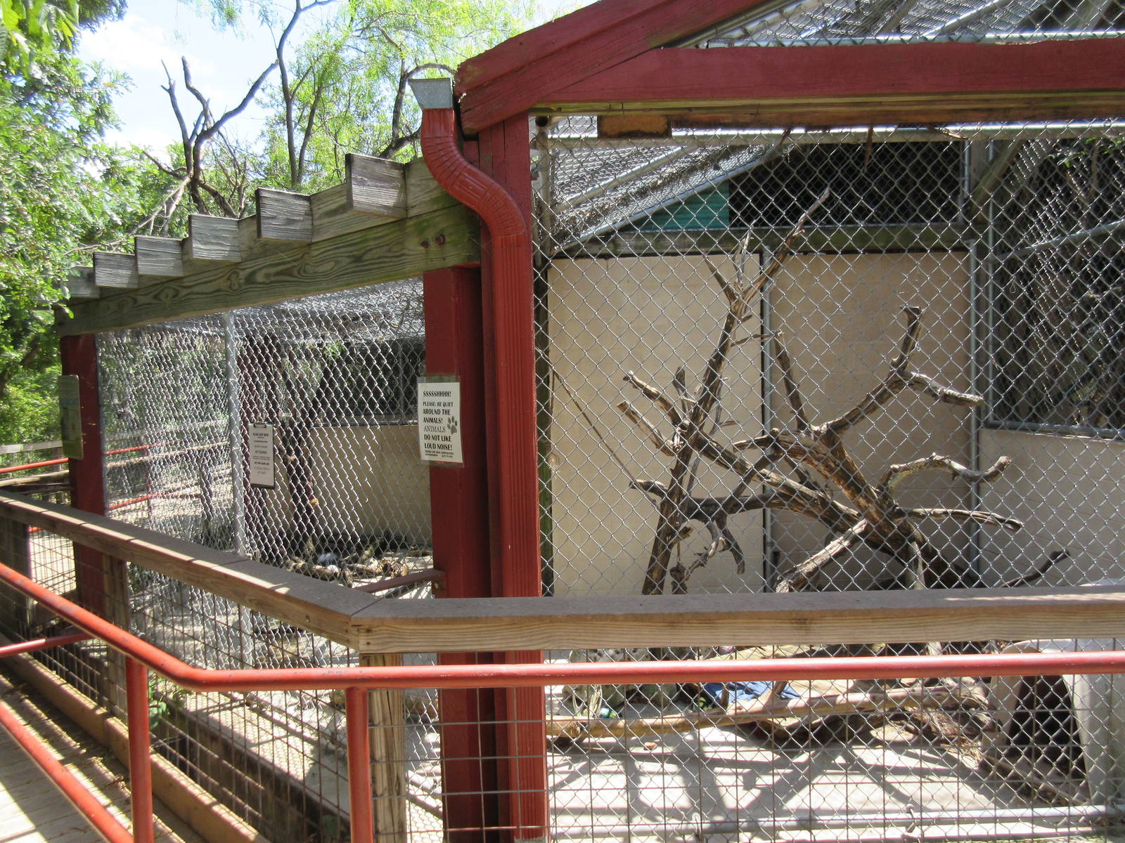 Bobcat Exhibit
