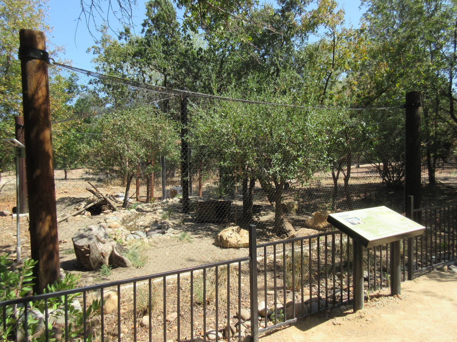 Bobcat Exhibit