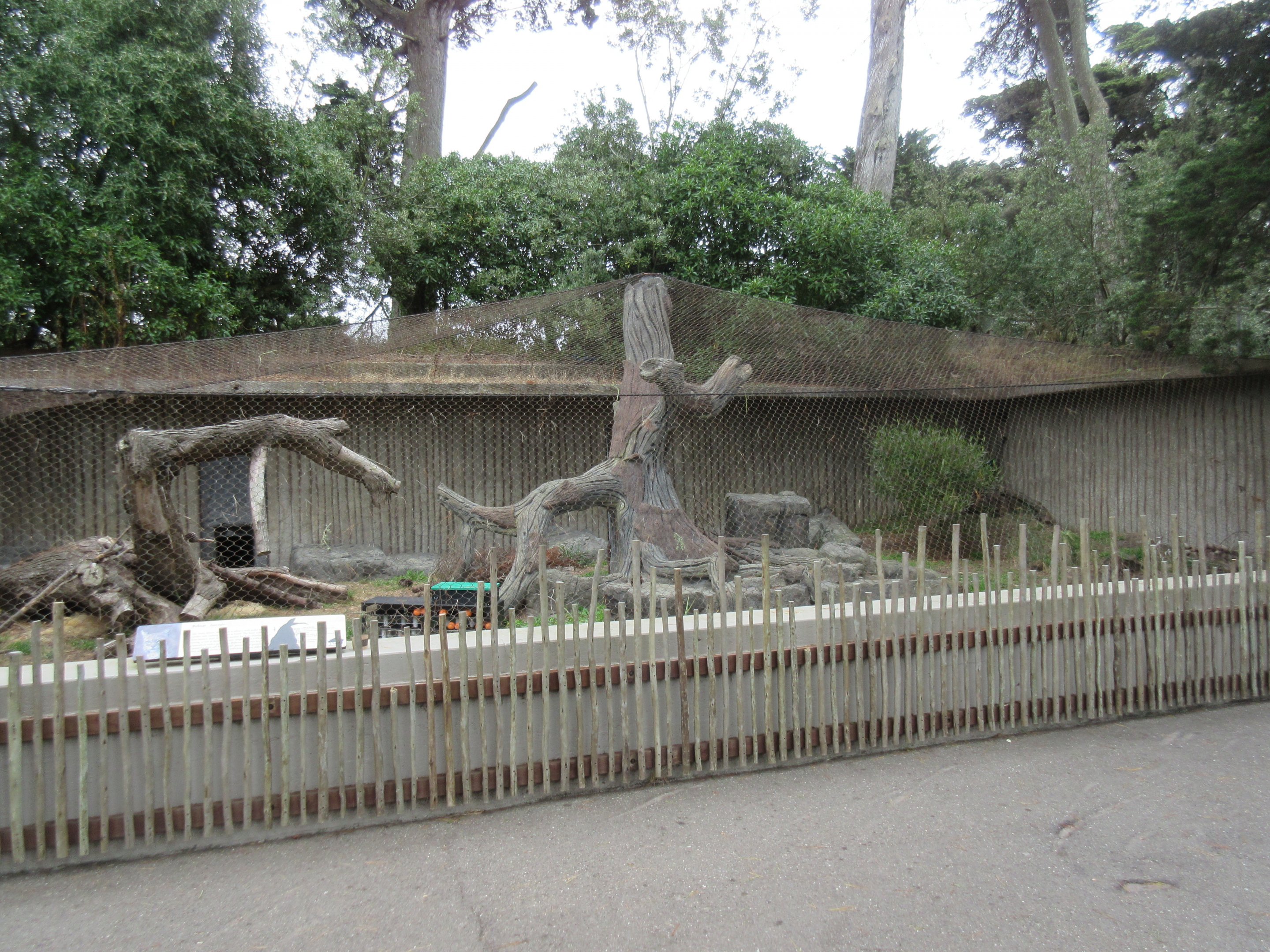 Bobcat Exhibit
