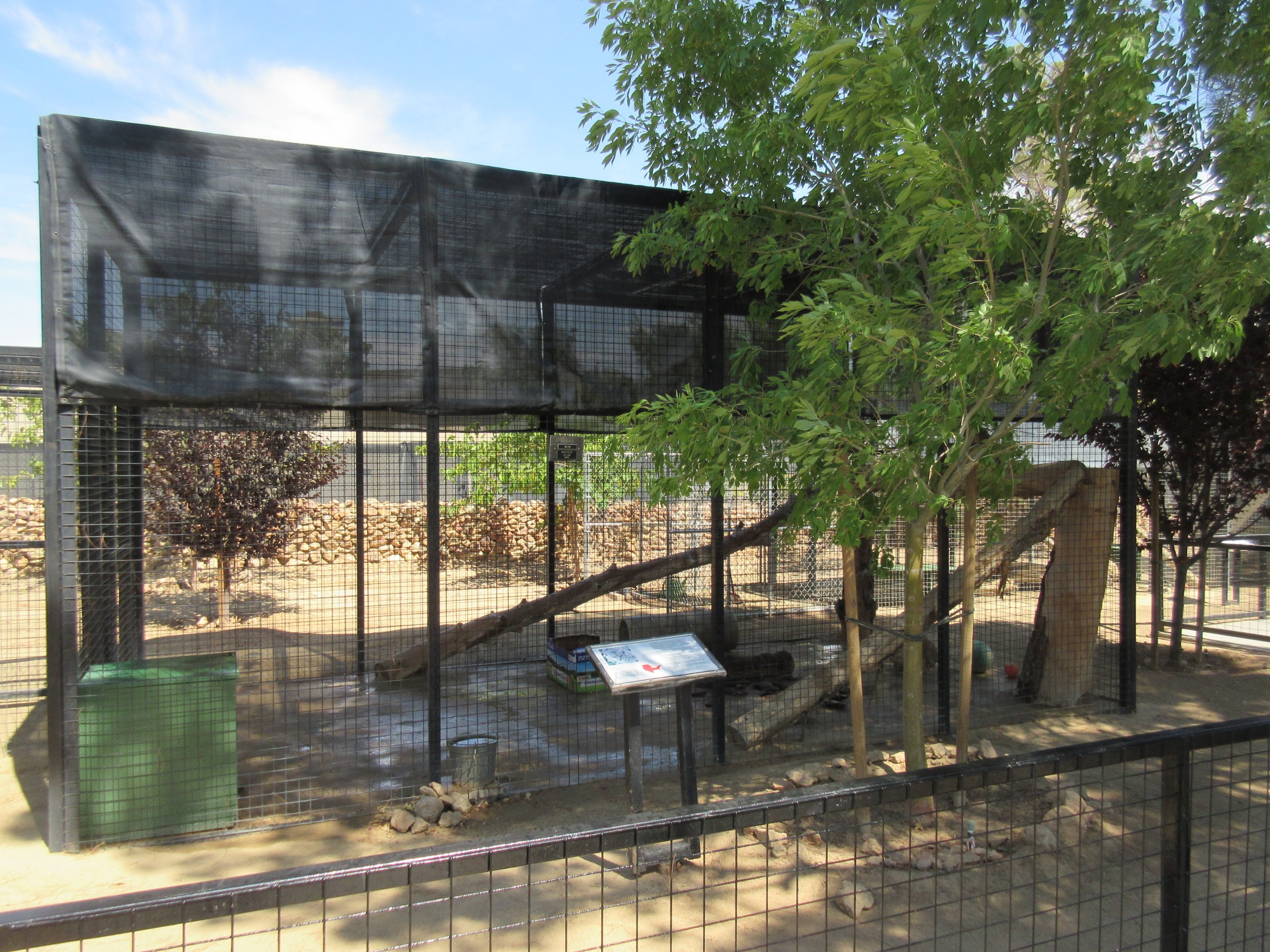 Bobcat Exhibit