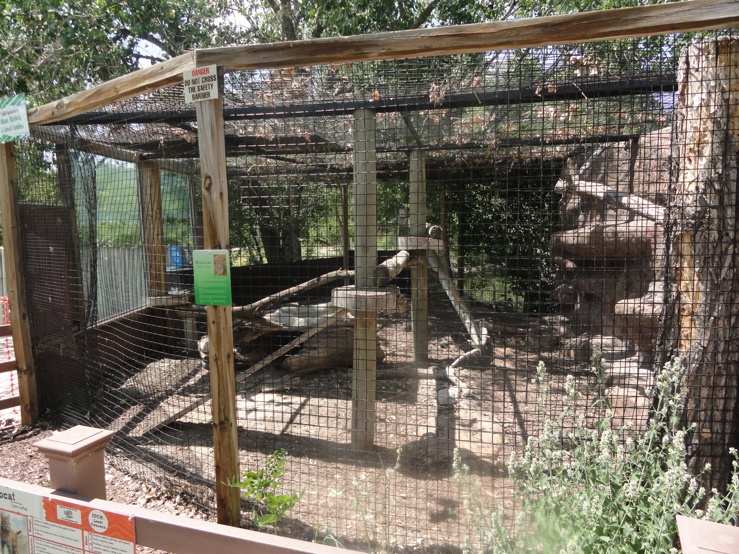 Bobcat Exhibit