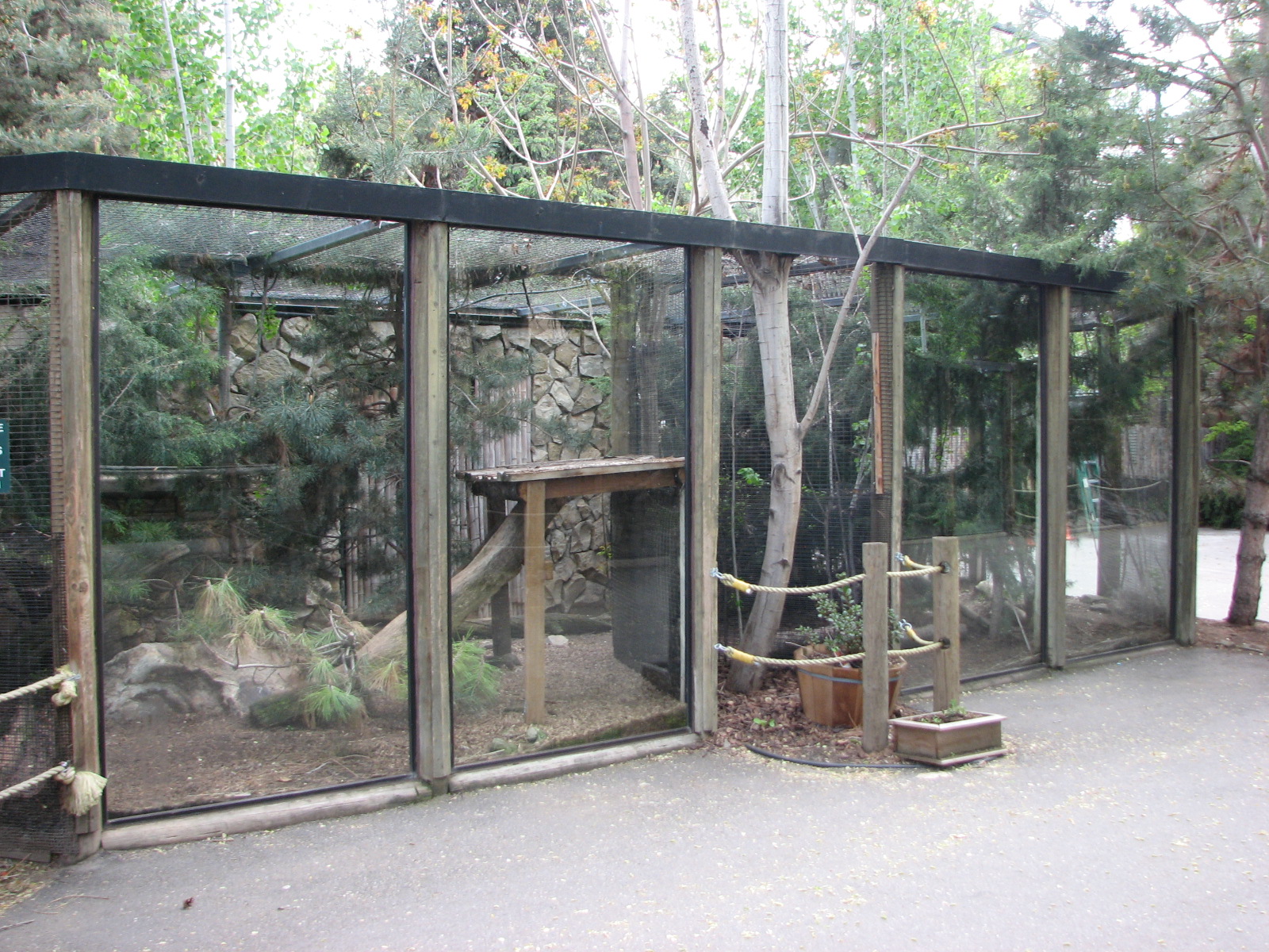 Bobcat Exhibit