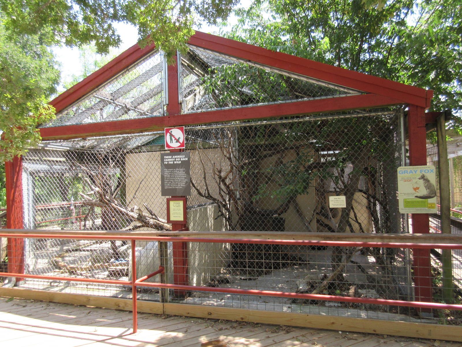 Bobcat + Grey Fox Exhibits