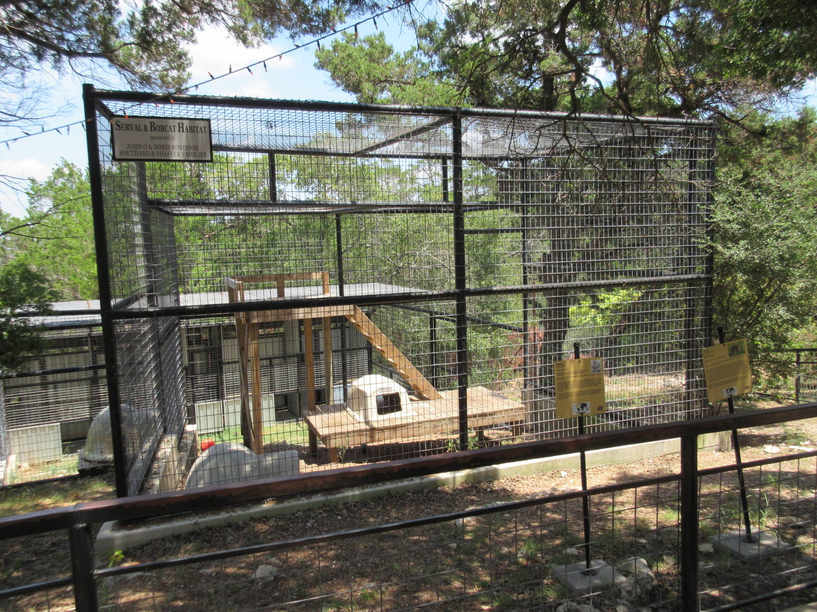 Bobcat/Serval Exhibit (the cats share the space together)