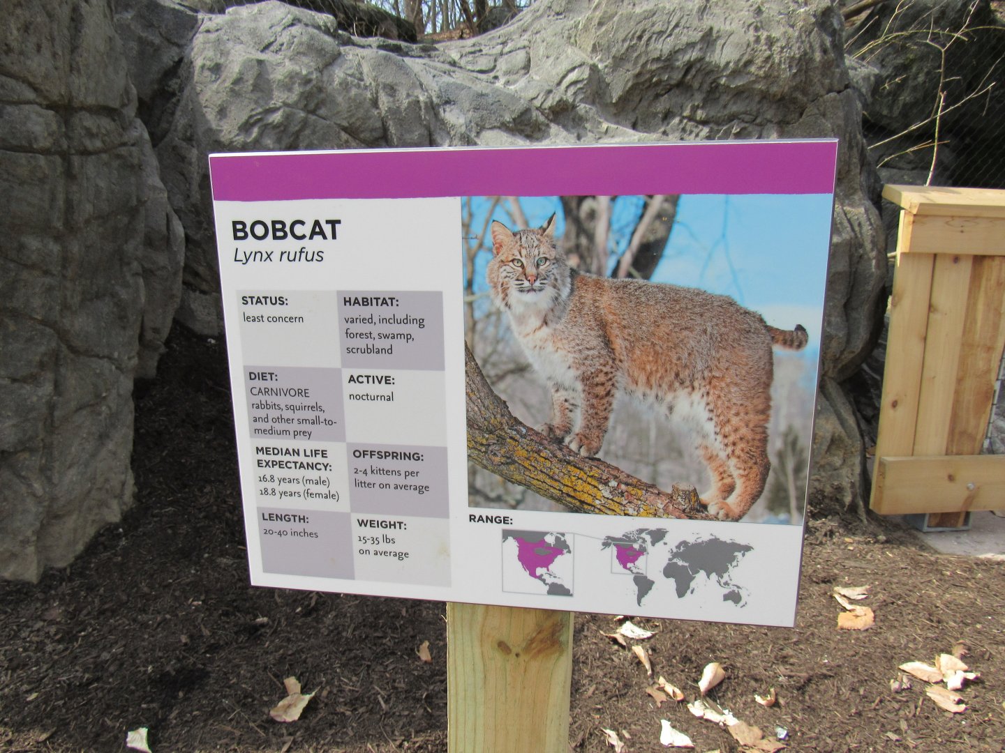 Bobcat signage