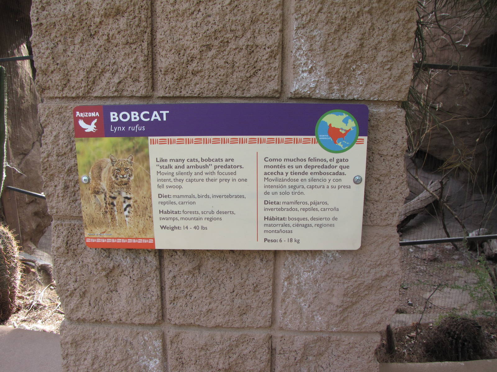 Bobcat Signage