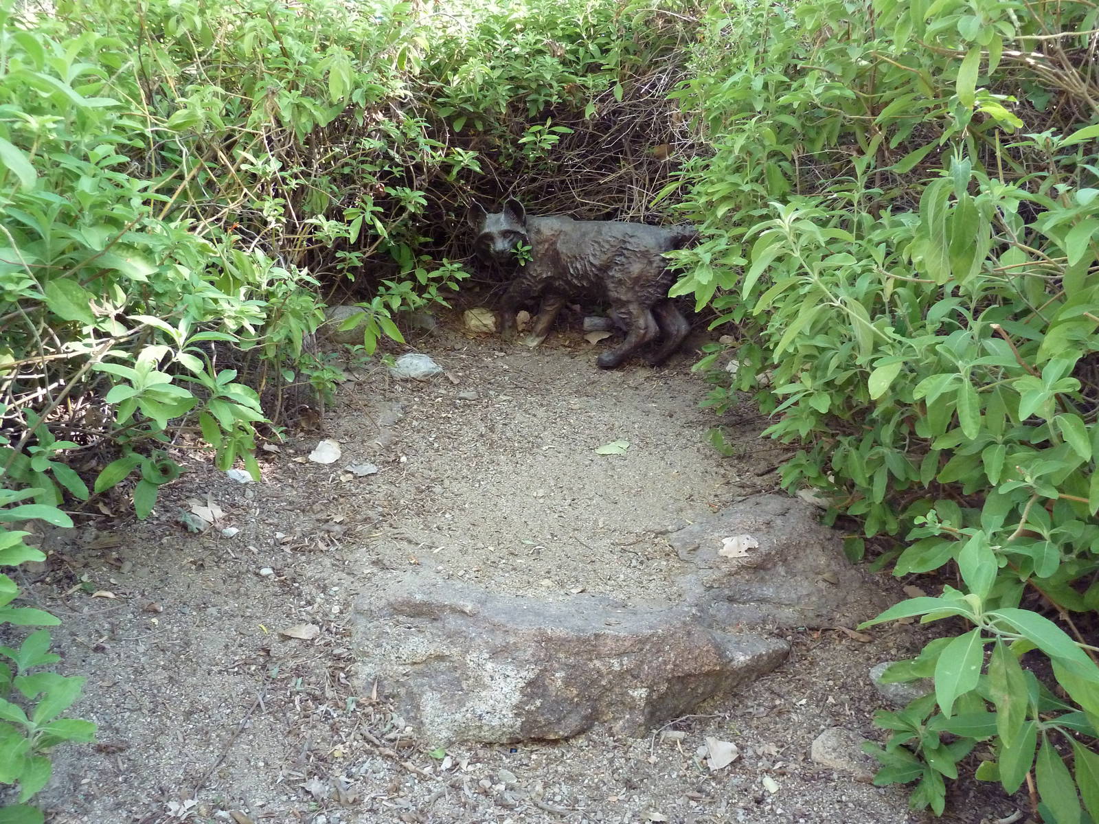 Bobcat Statue