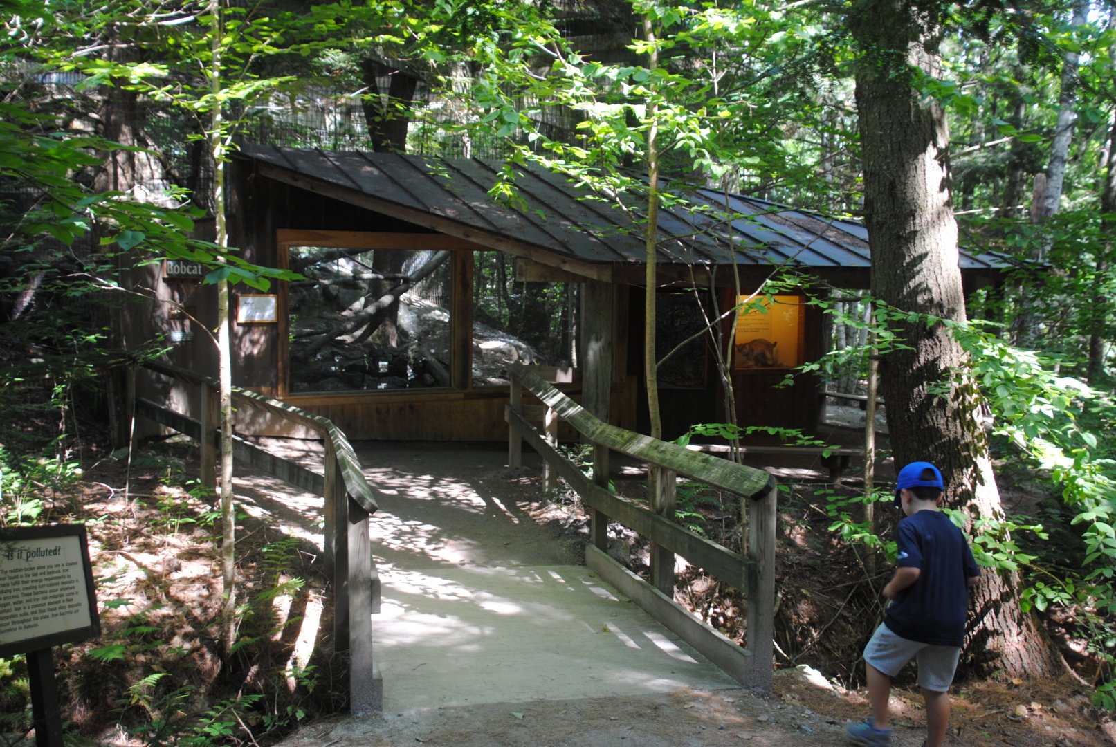 Bobcat viewing shelter