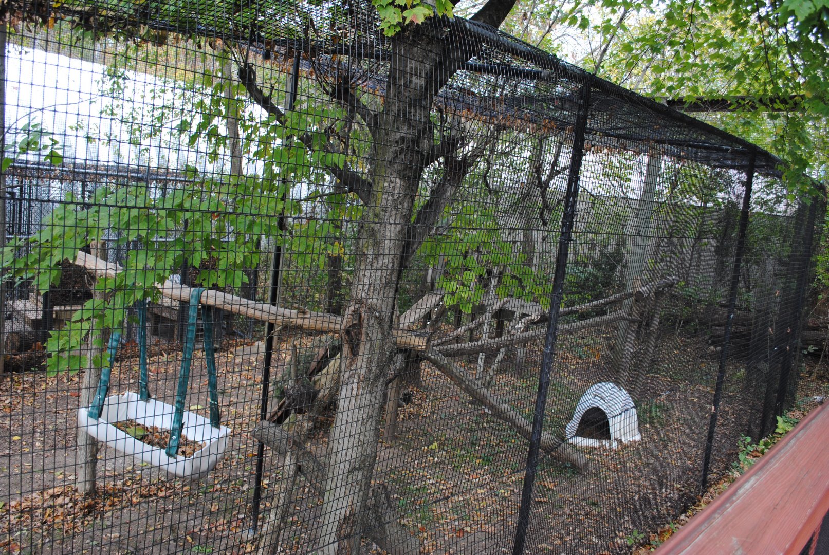 Bobcat's Exhibit