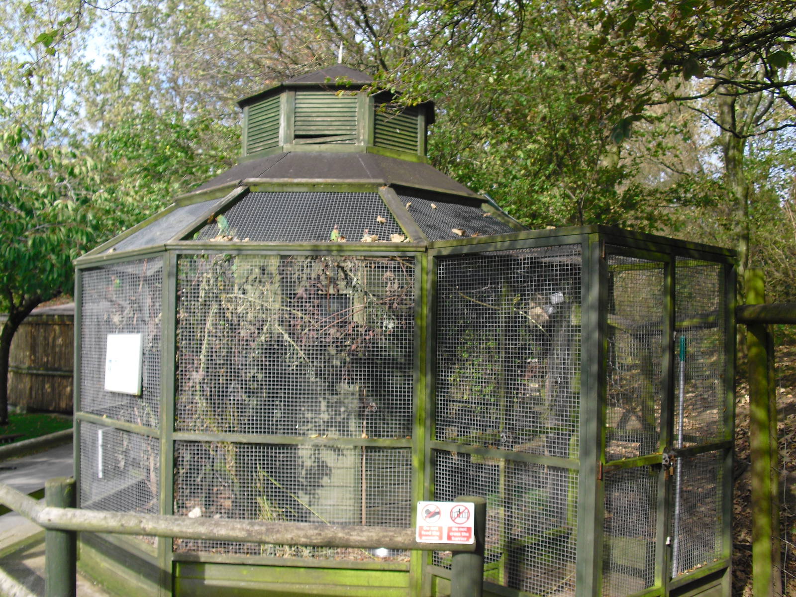 Bobwhite Quail/Black-cheeked Lovebirds Aviary - 01/10/2011.