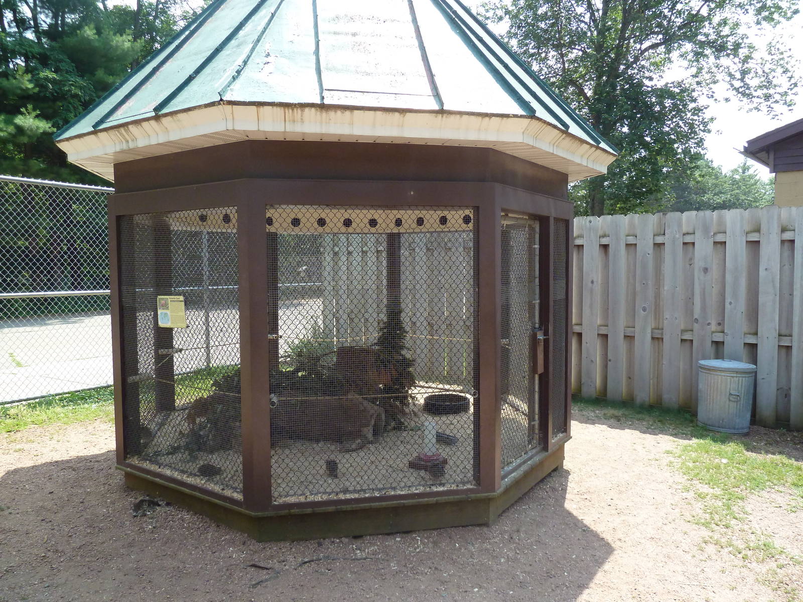 Bobwhite Quail Exhibit