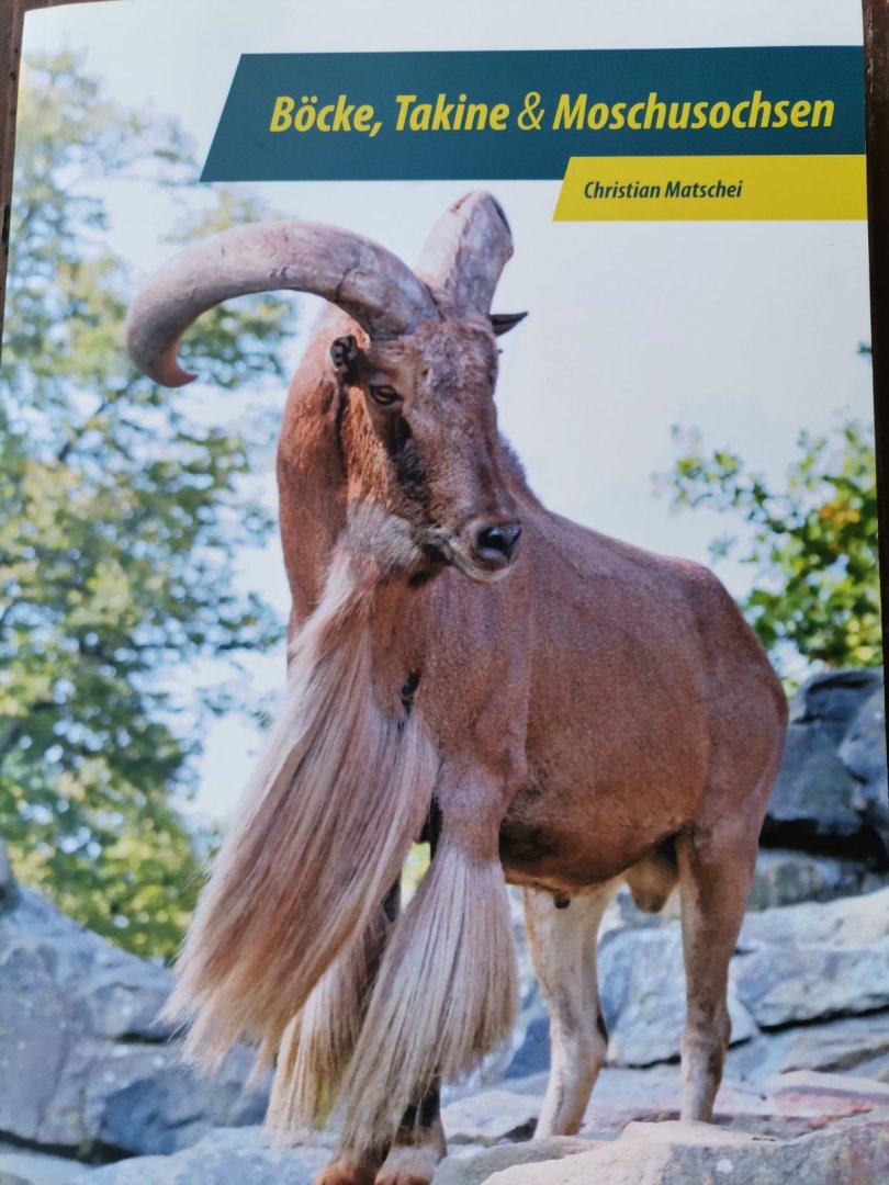 Böcke, Takine & Moschusochsen (Goats, Takins & Muskoxen), Christian Matschei