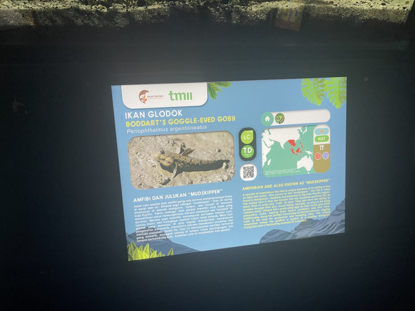 boddart’s goggle-eyed goby signage - dunia air tawar