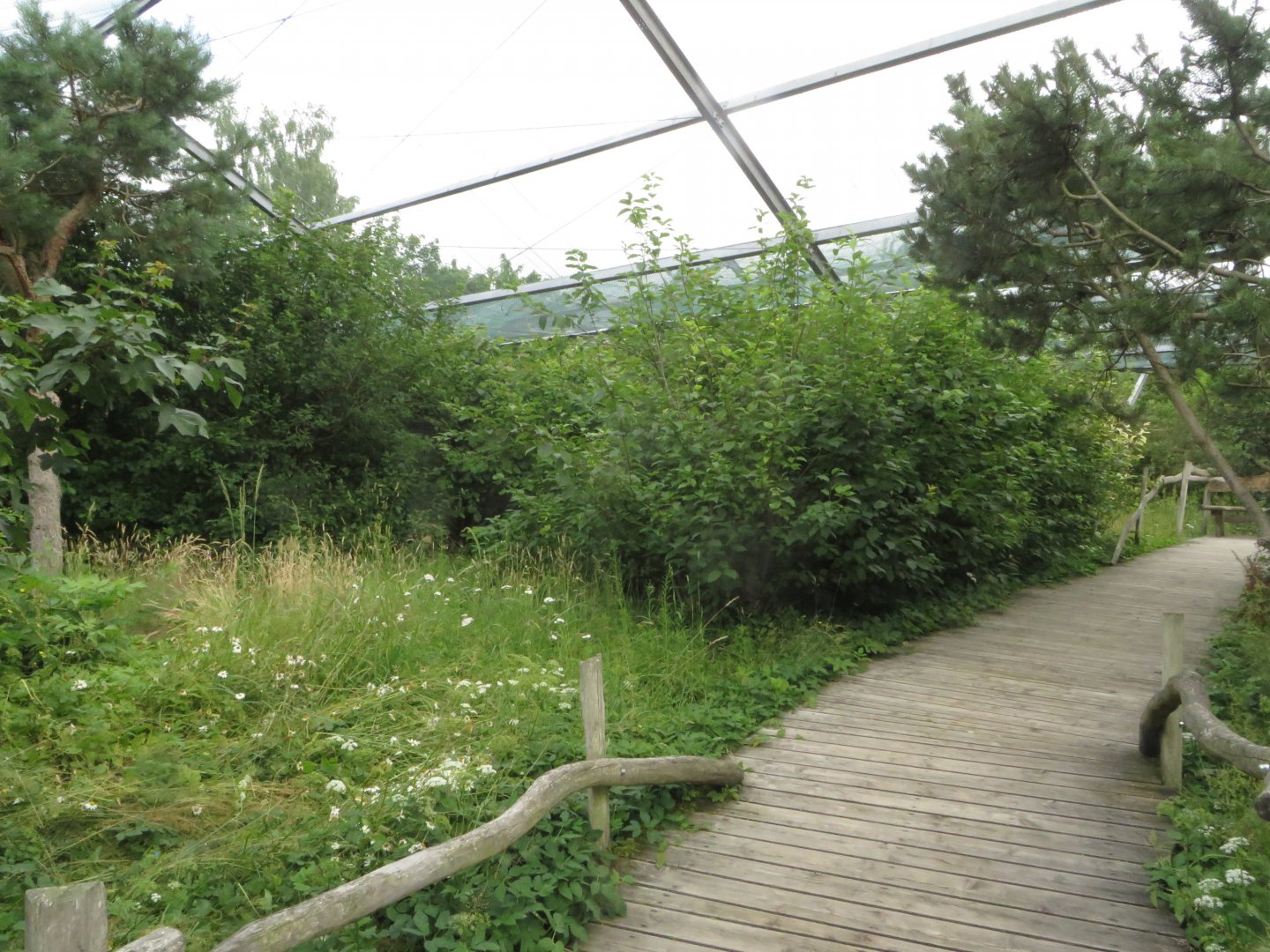 Boddenaviary